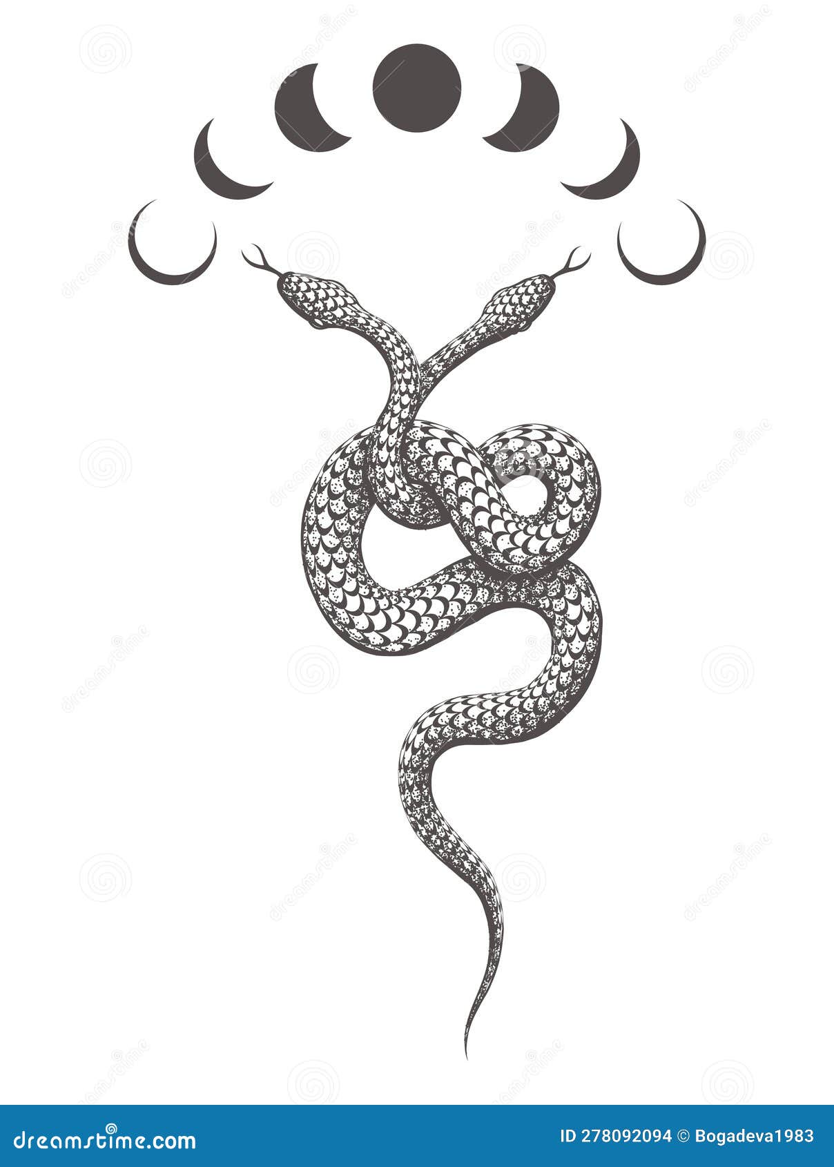 two headed snake phases moon esoteric tattoo isolated white vector illustration 278092094