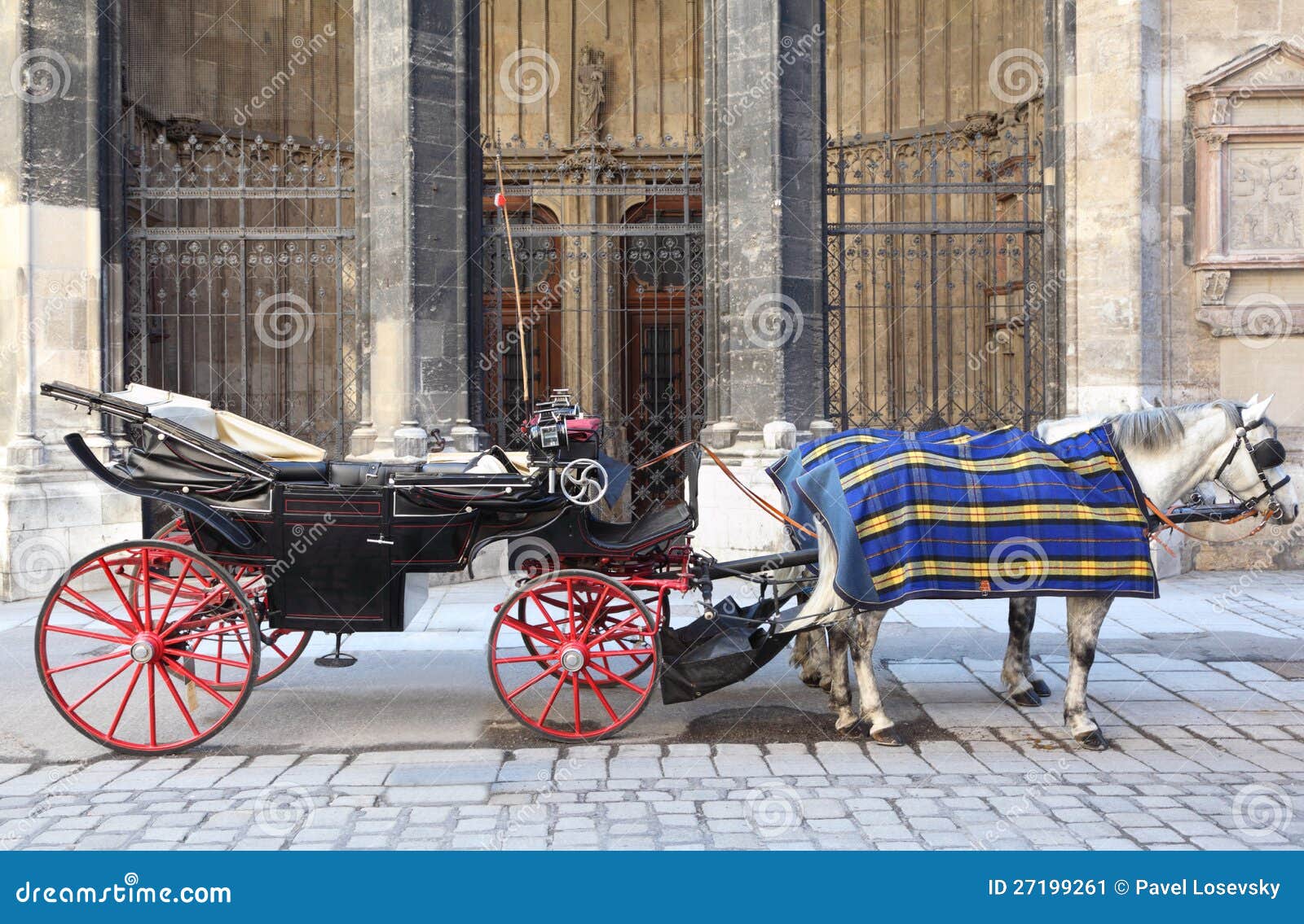 Two Horse in Cape with Open Cart Stock Image Image of blue, open 27199261