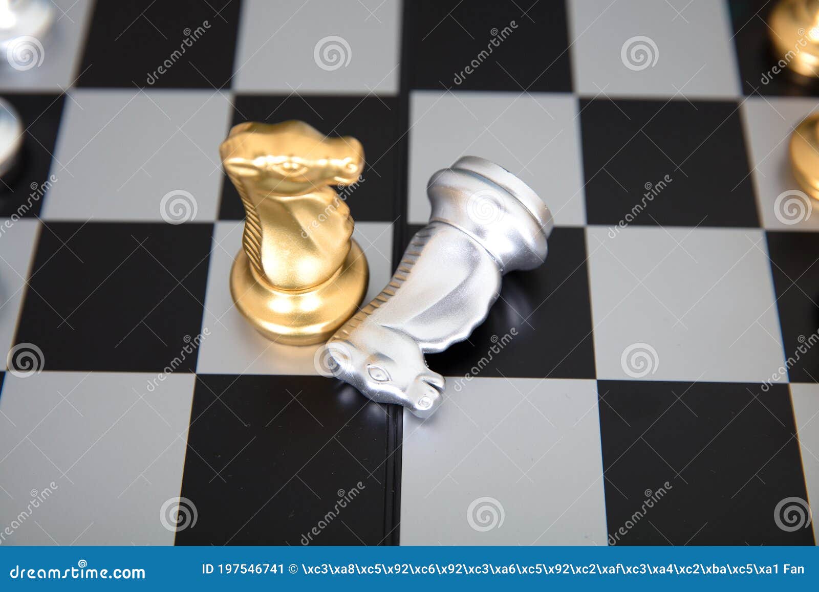 The Two Horse Pieces on the Chess Board are in a Duel Stock Image