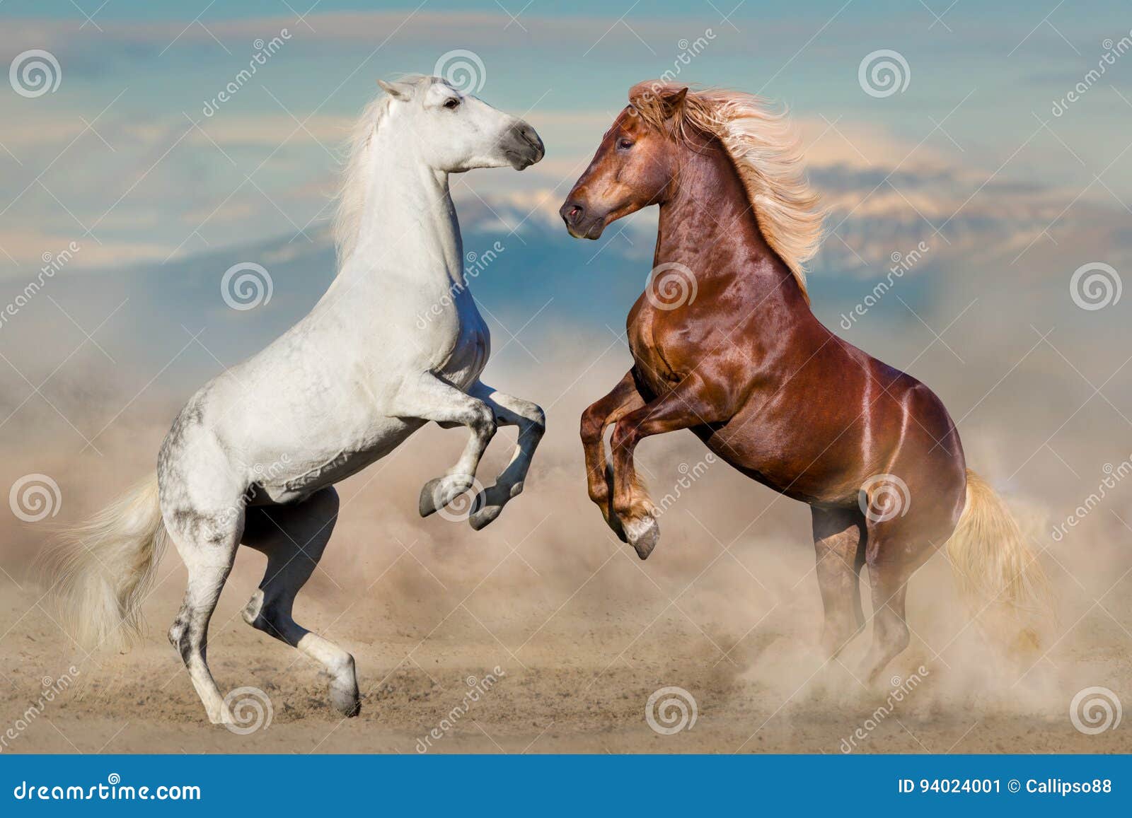 Horse Spiel