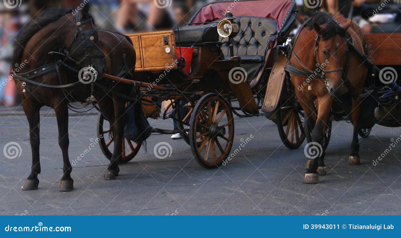 Two horses pulling stock image. Image of horses, carriage 39943011