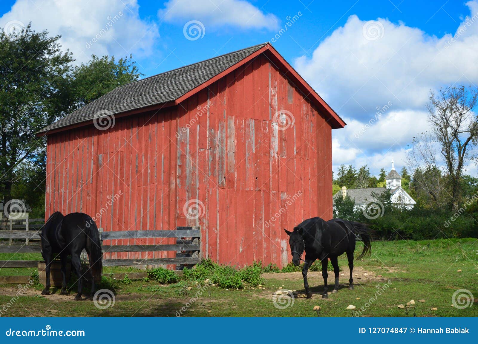 Red Barn Stock Photos - Download 25,037 Royalty Free Photos