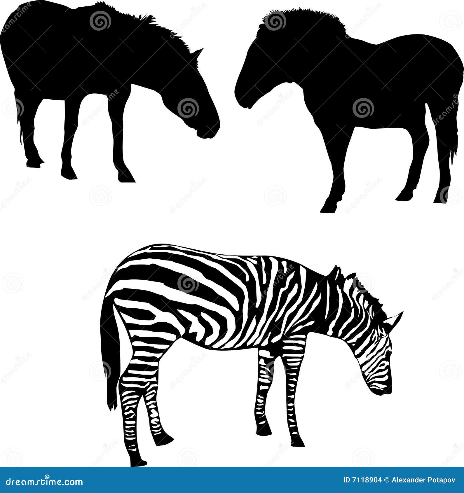 Two horses and zebra stock illustration. Illustration of painting 7118904