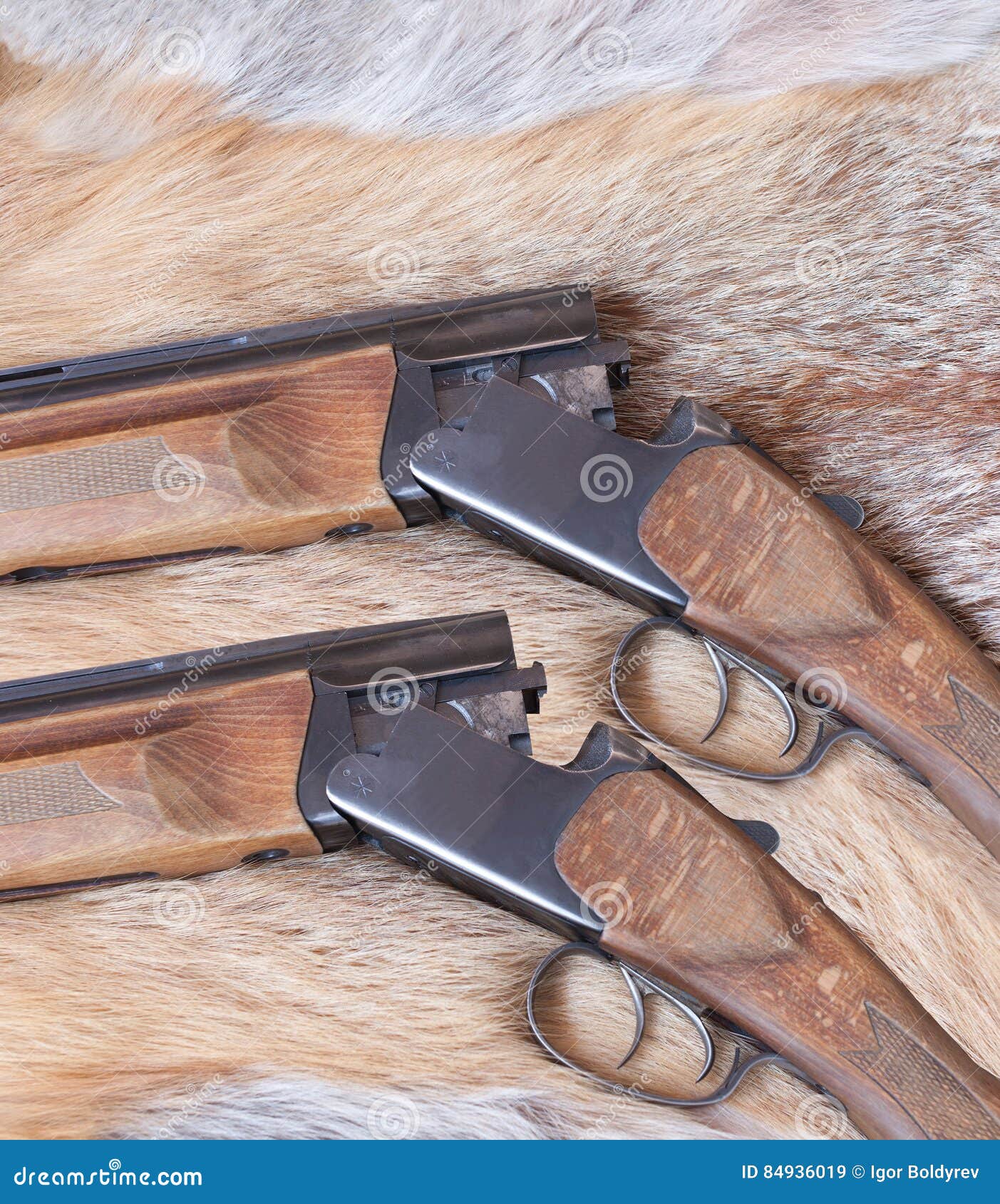 Two Hunting Smoothbore Gun Stock Image Image of fluffy, fleecy 84936019