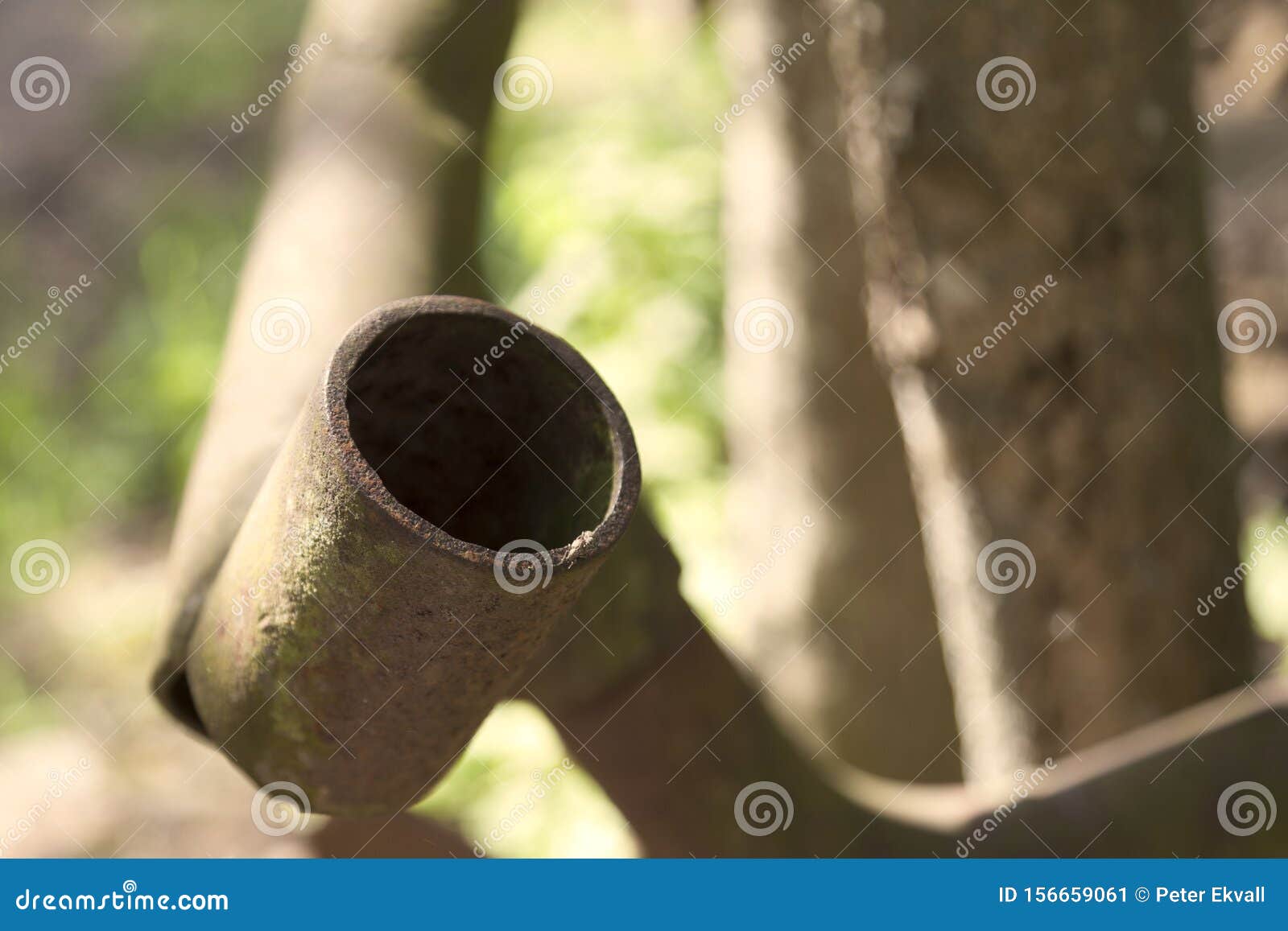 two insects having fun on a rusty pipe in the forest
