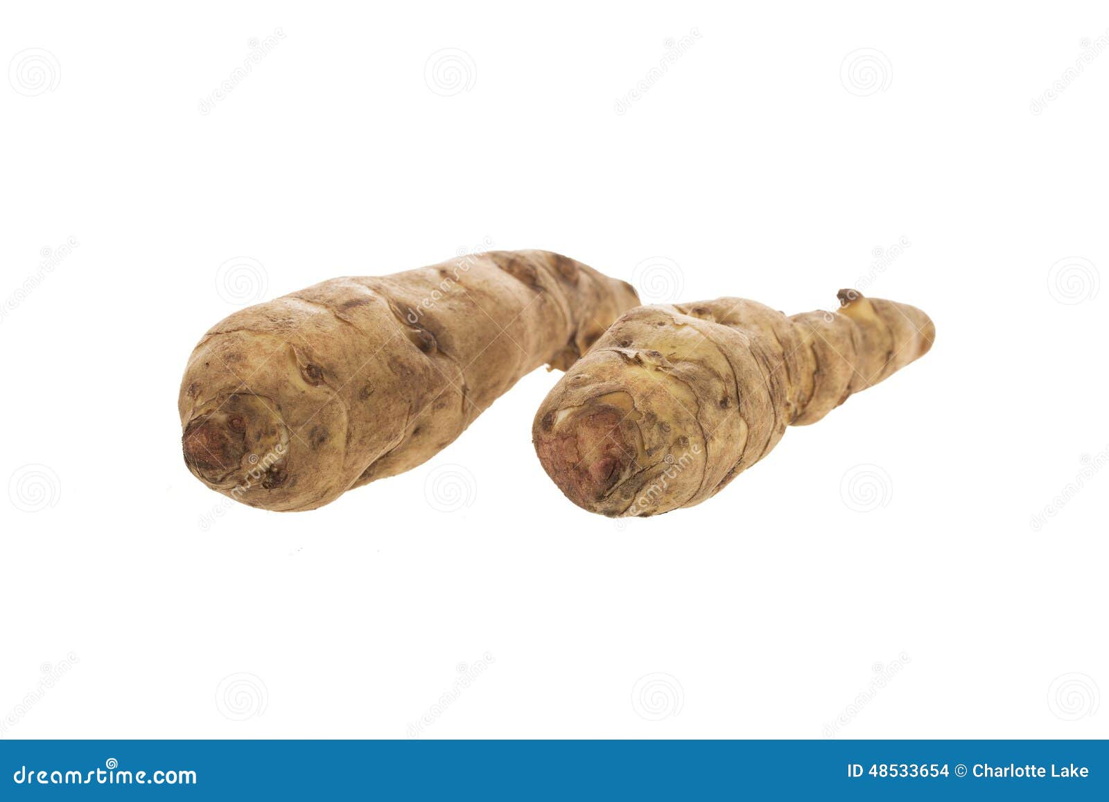 Two Jerusalem Artichokes on White Stock Photo Image of tuber