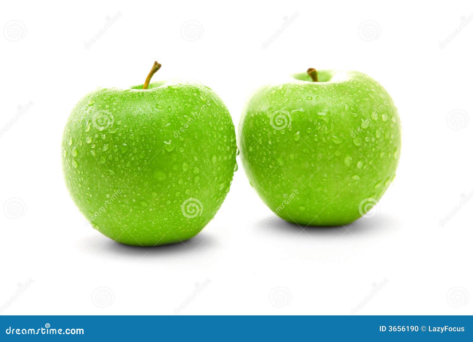 Two juicy green apples stock photo. Image of healthy, juicy 3656190