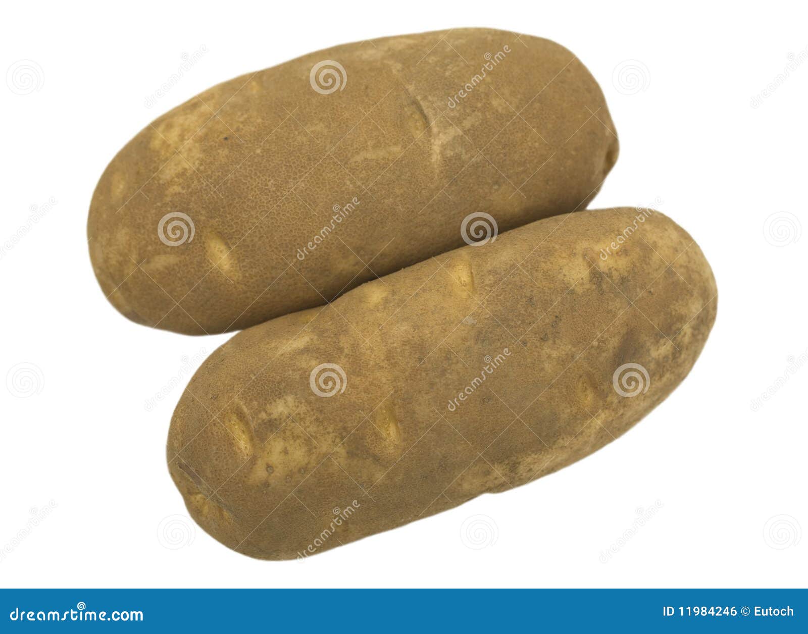 Two Jumbo Baking Potatoes stock photo. Image of food 11984246