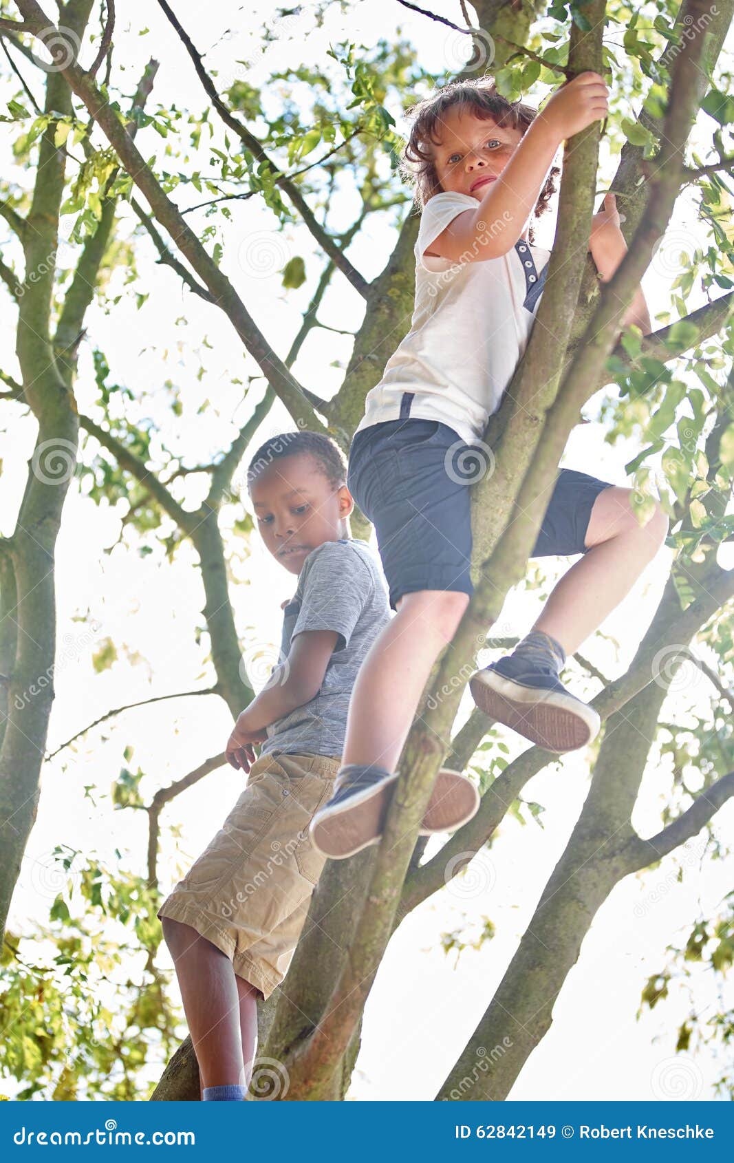 Two kids climbing a tree and having fun in the nature