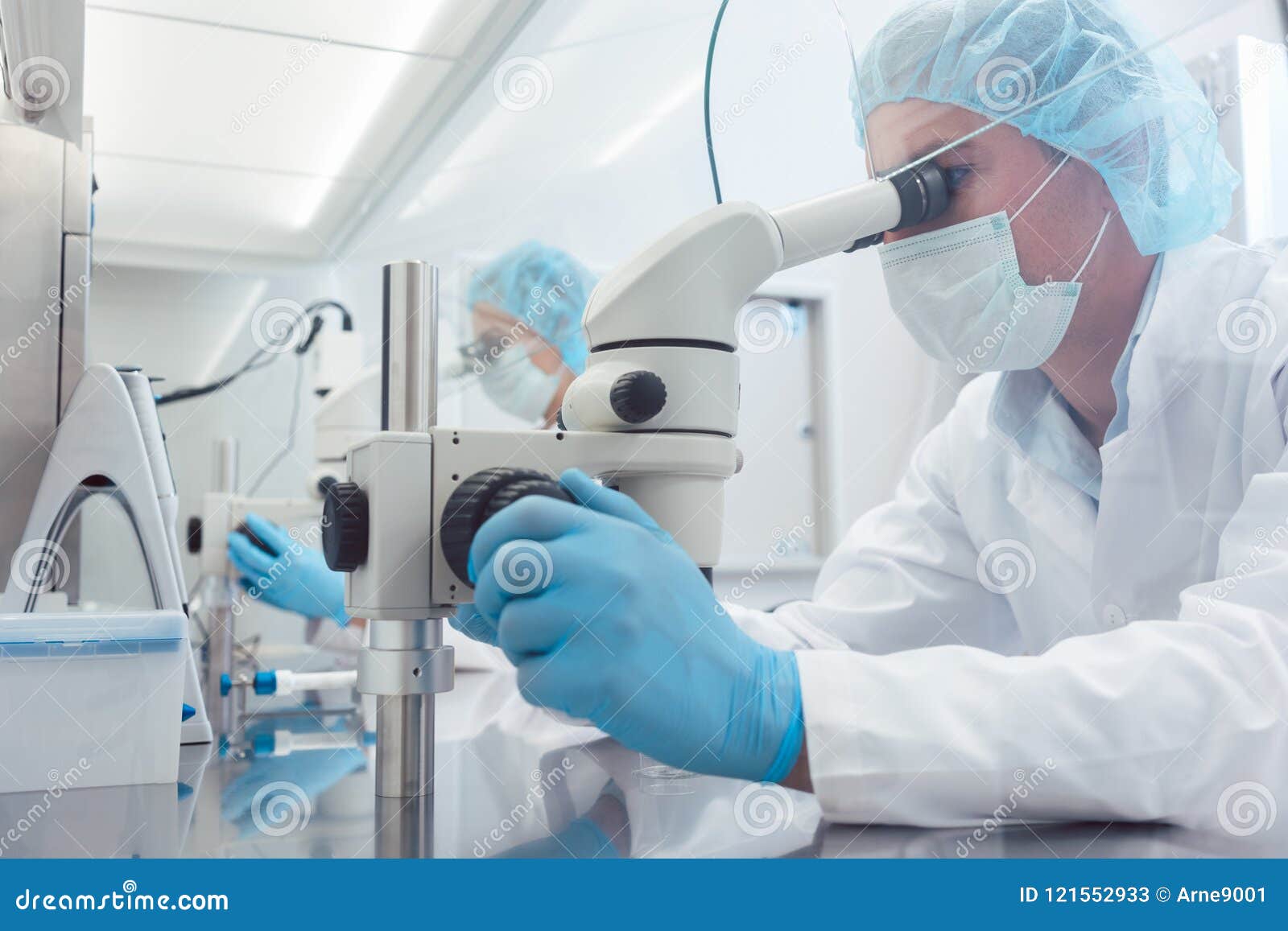 Two Lab Technicians or Scientists Working in Laboratory Stock Image