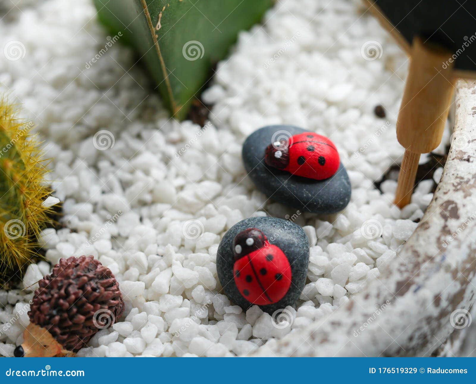 two lady bugs props positioned in a cactus vessel