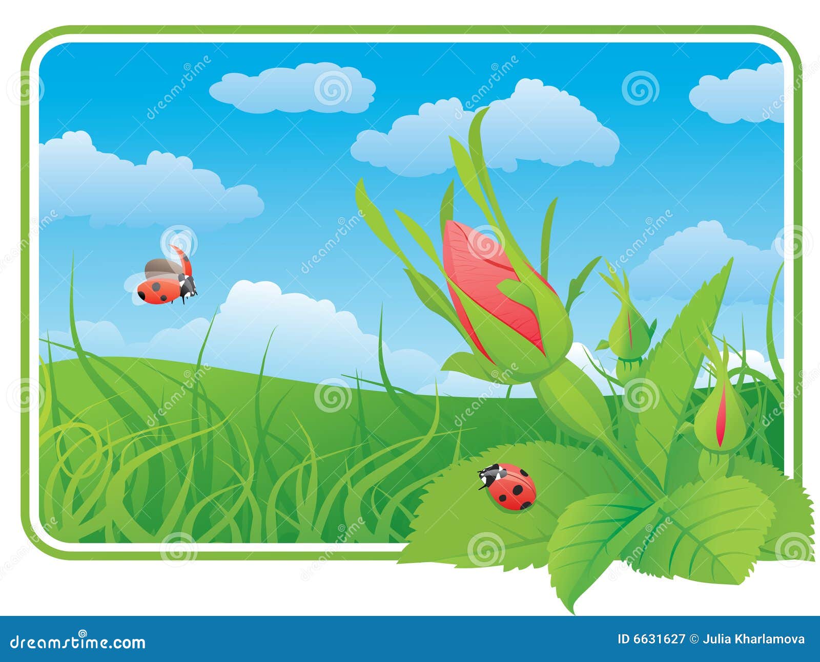 Two Ladybugs on the Wild Rose Stock Vector Illustration of blossom