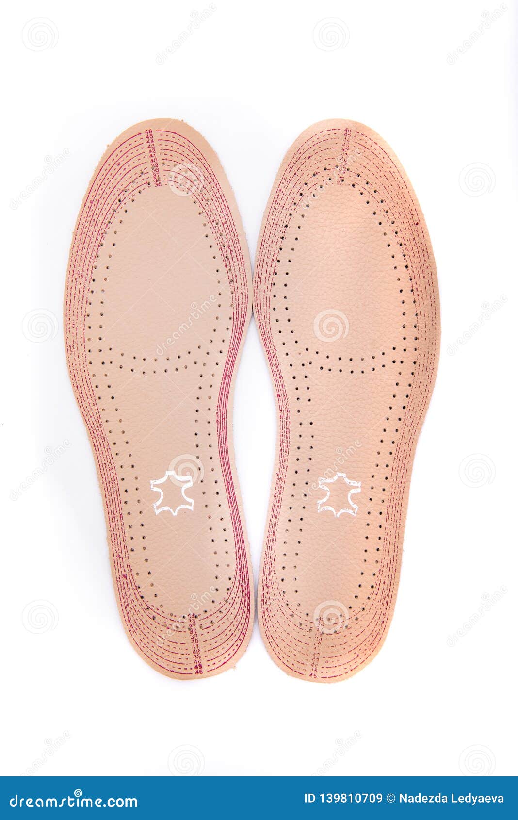 Two Leather Insoles for Shoes on a White Background Stock Image Image