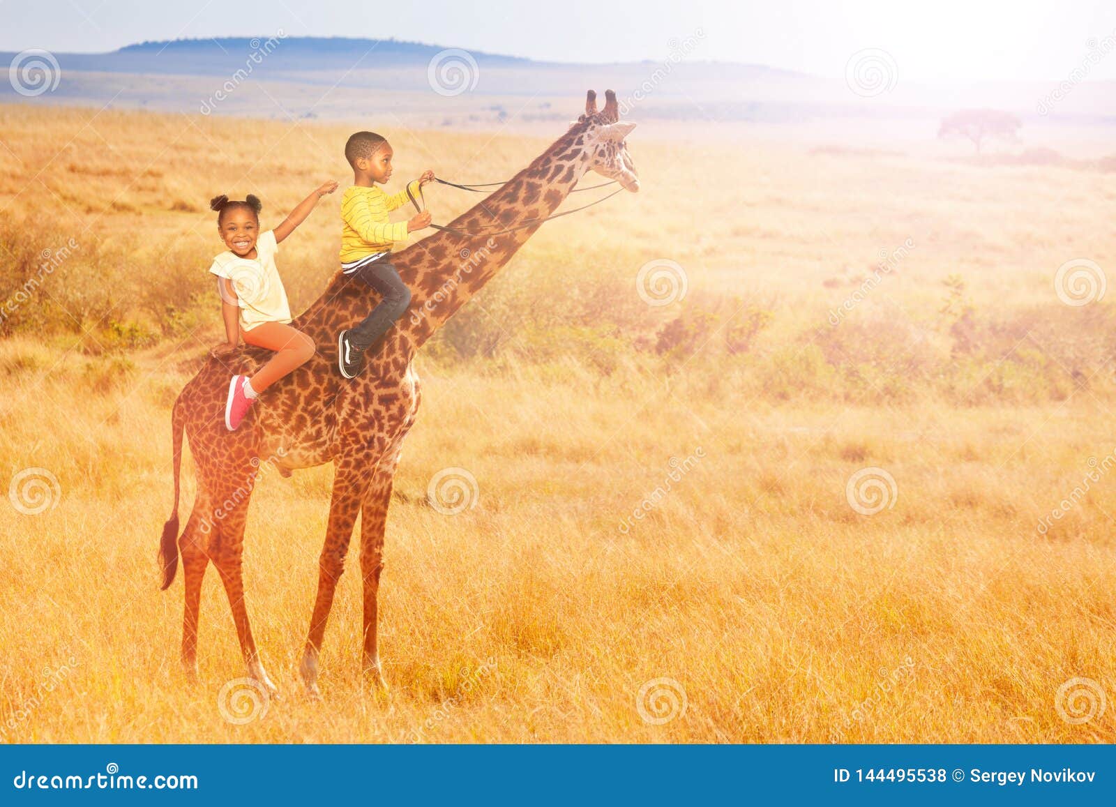 Two Little Black Kids Ride a Giraffe in Africa Stock Photo - Image of