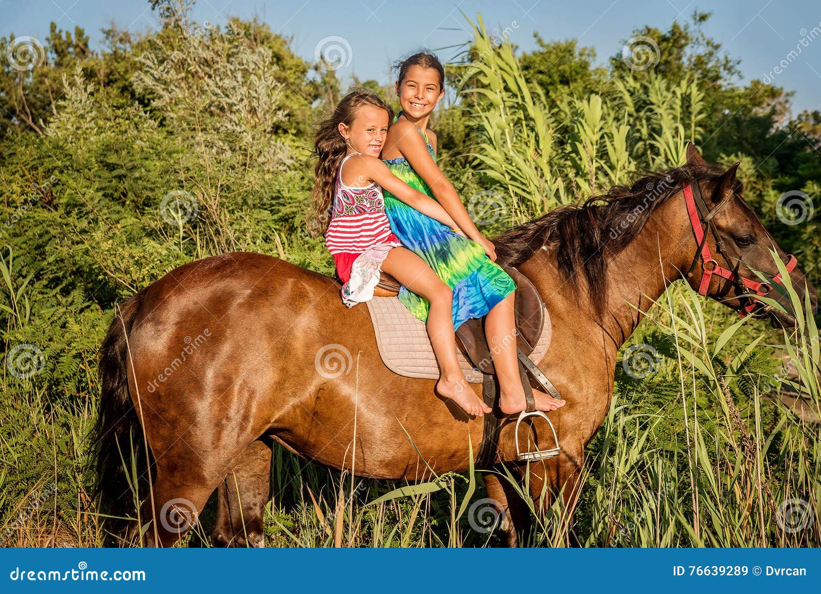 Cavalo De Equitação De Duas Meninas No Verão Em Ada Bojana, Monte Foto de  Stock - Imagem de meninas, povos: 76639270