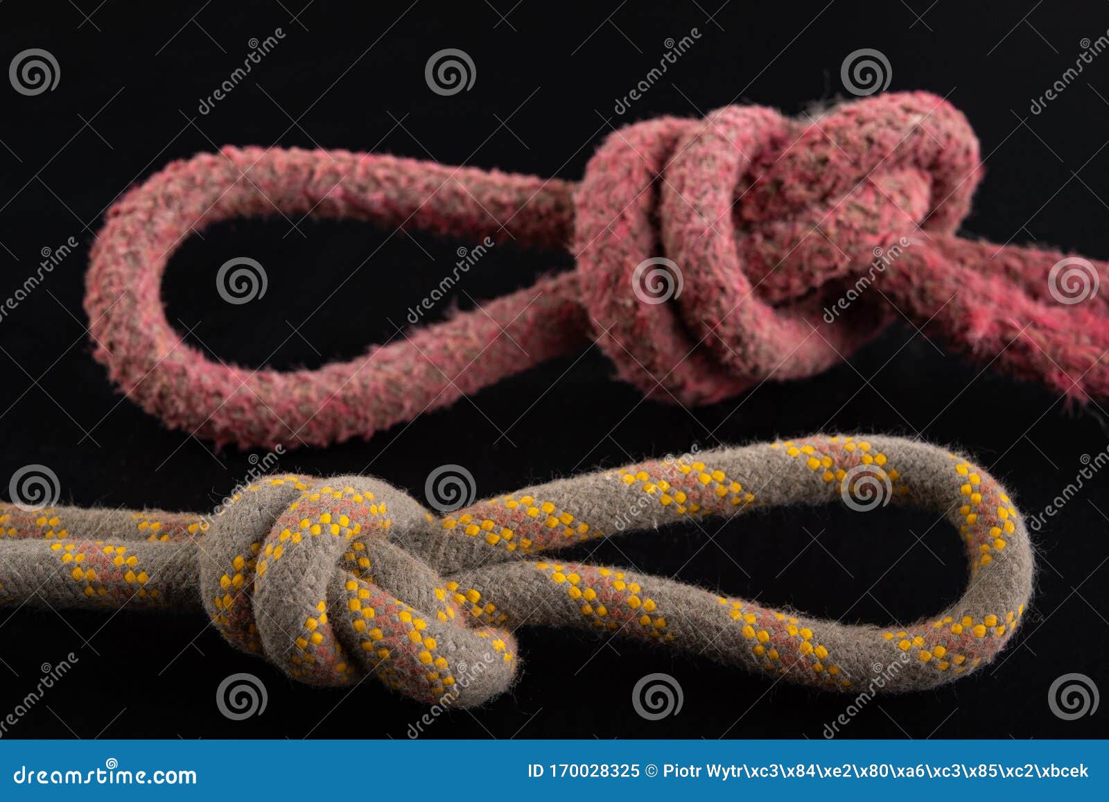Two Loops Made of Thick Rope. Loopshaped Knot Stock Image Image of lasso, punishment 170028325