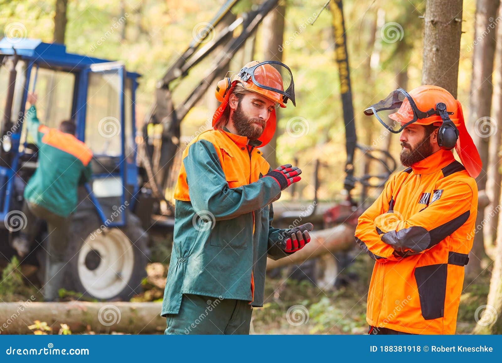 Two Lumberjacks are Planning the Logging in the Forest Stock Photo