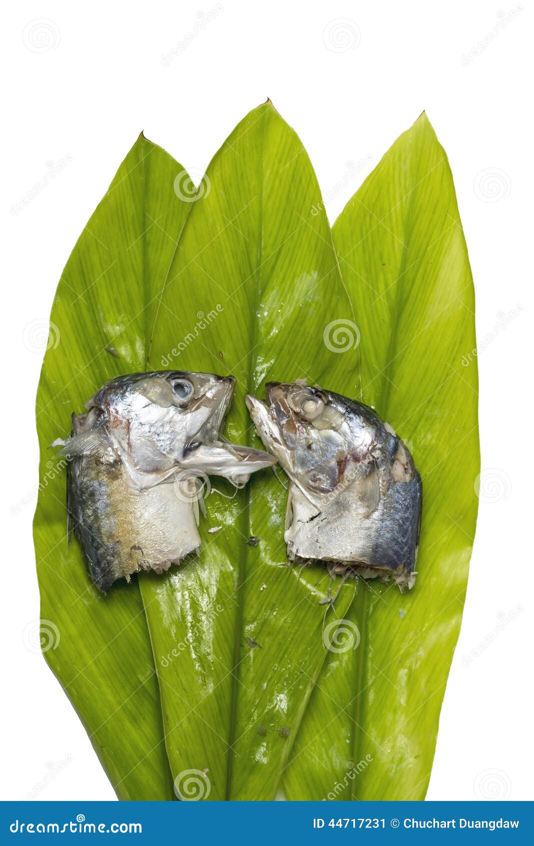 Two Mackerel in Banana Leaf Stock Image Image of color, horse 44717231