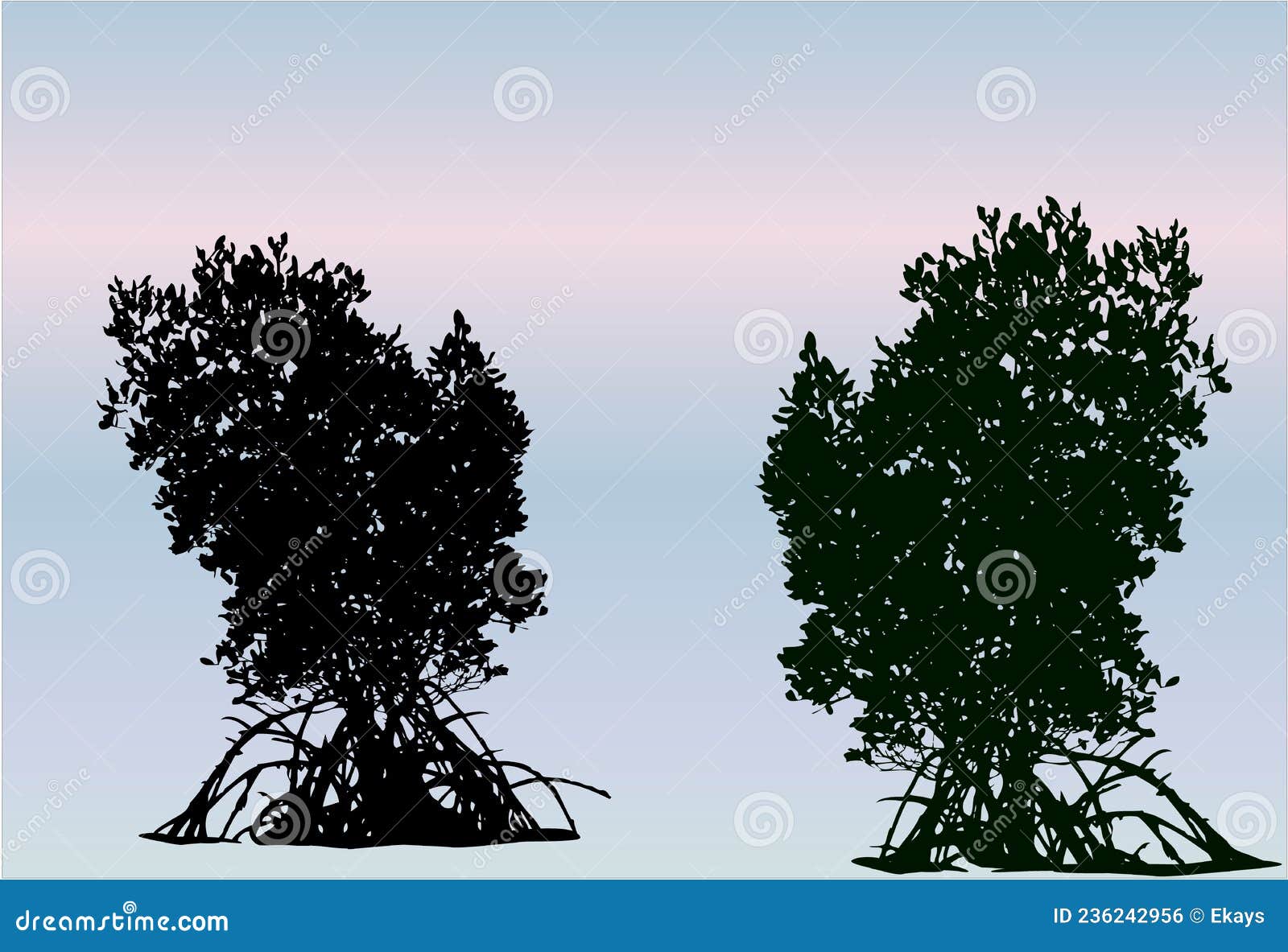 mangrove trees silhouette with blue and pink background