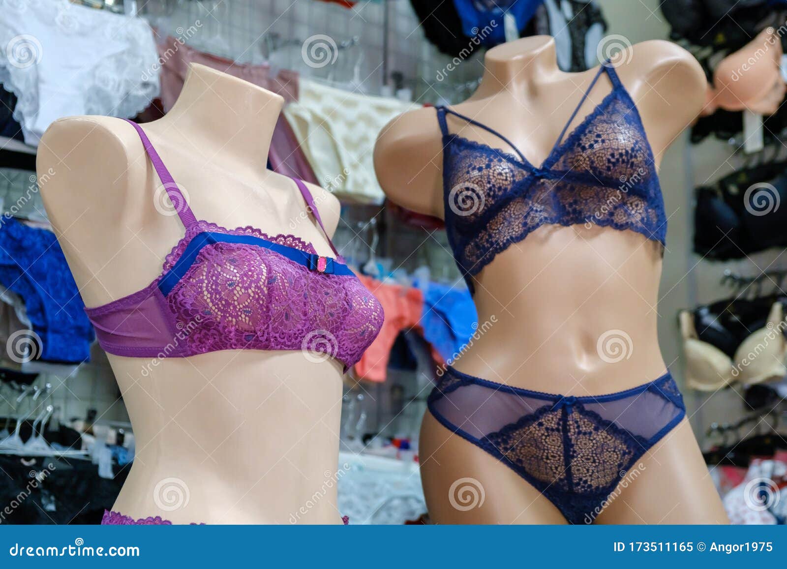 550 Lingerie Store Window Stock Photos - Free & Royalty-Free Stock Photos  from Dreamstime