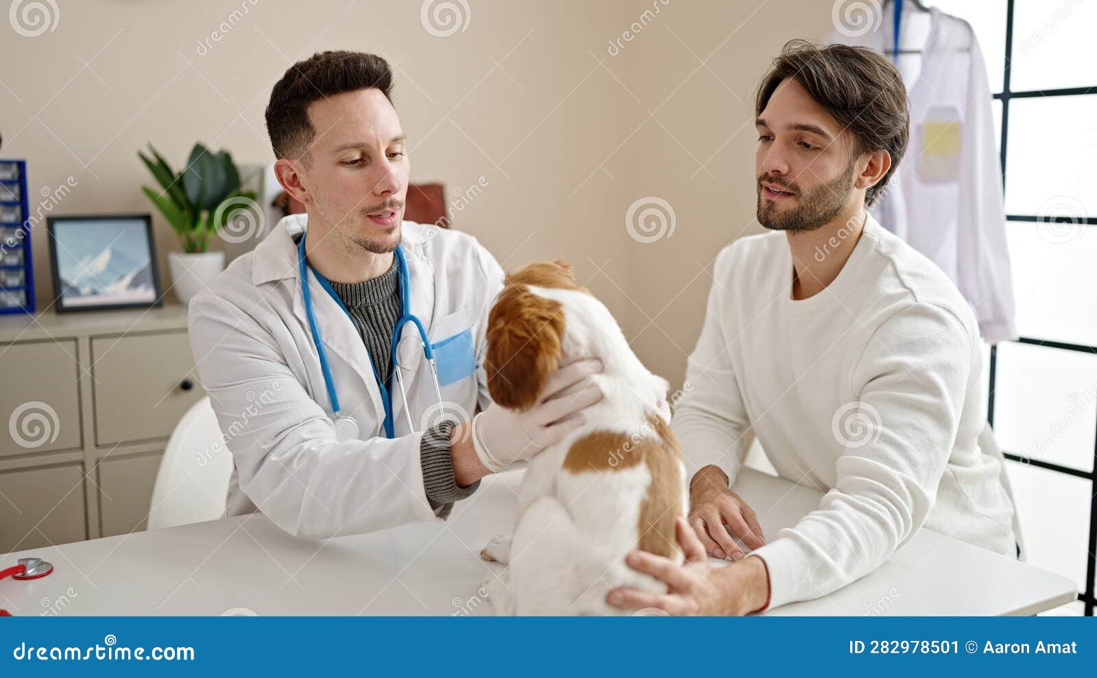 Two Men Examining Dog Cleaning Ears at Veterinary Clinic Stock Image