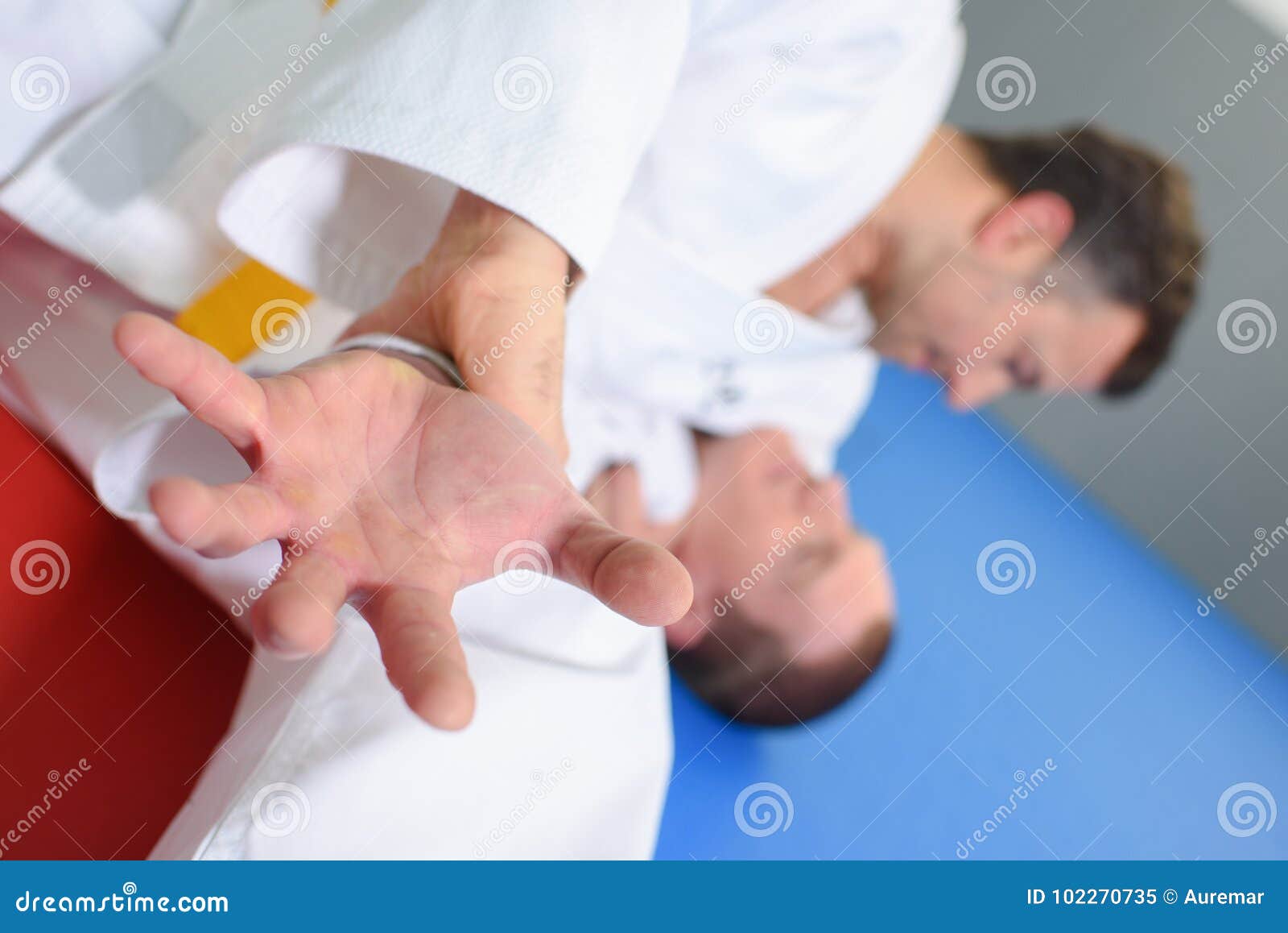 Two men on judo mat stock image. Image of fighter, punch 102270735