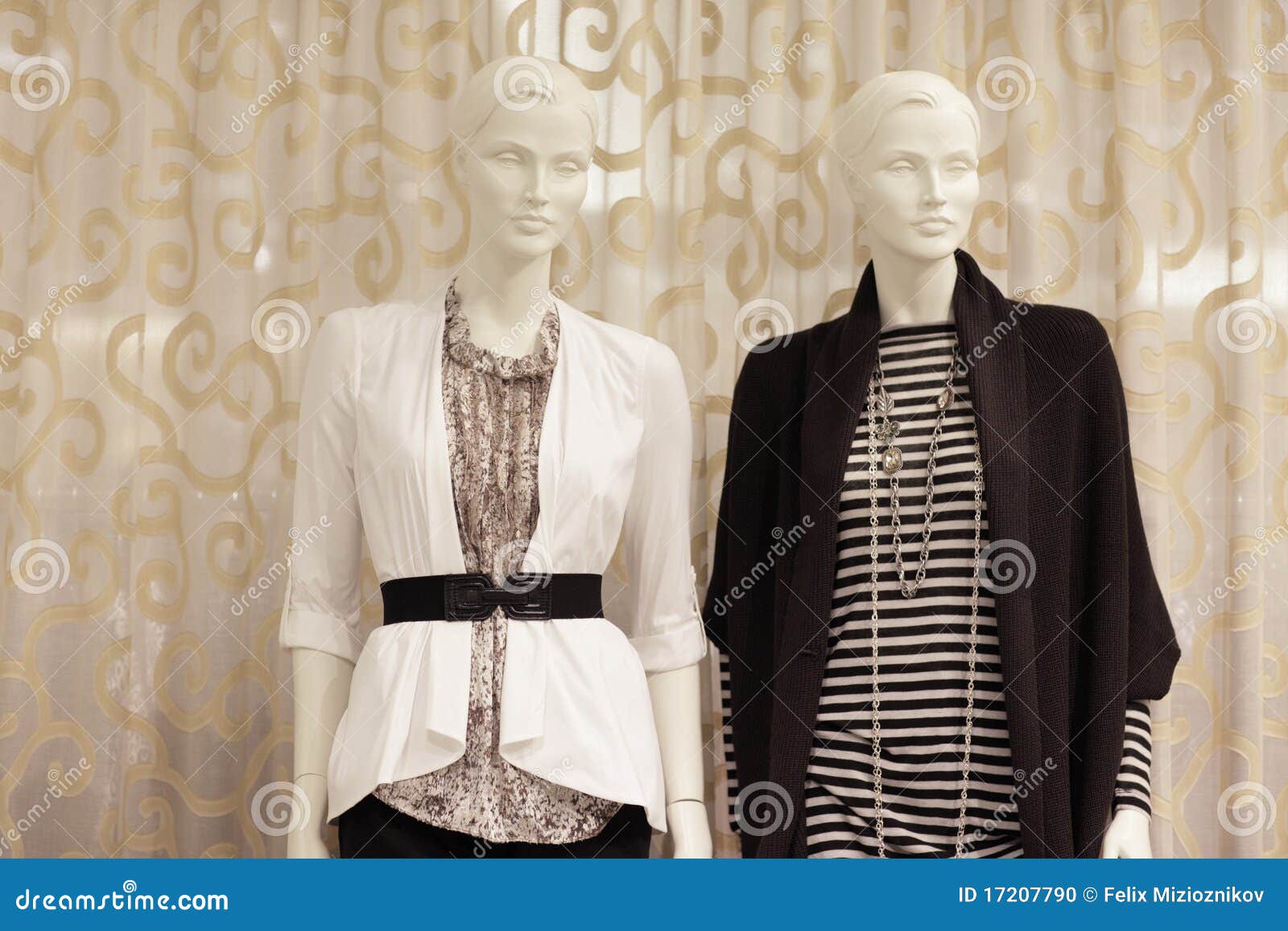 Two modern mannequins stock photo. Image of store, mannequin 17207790