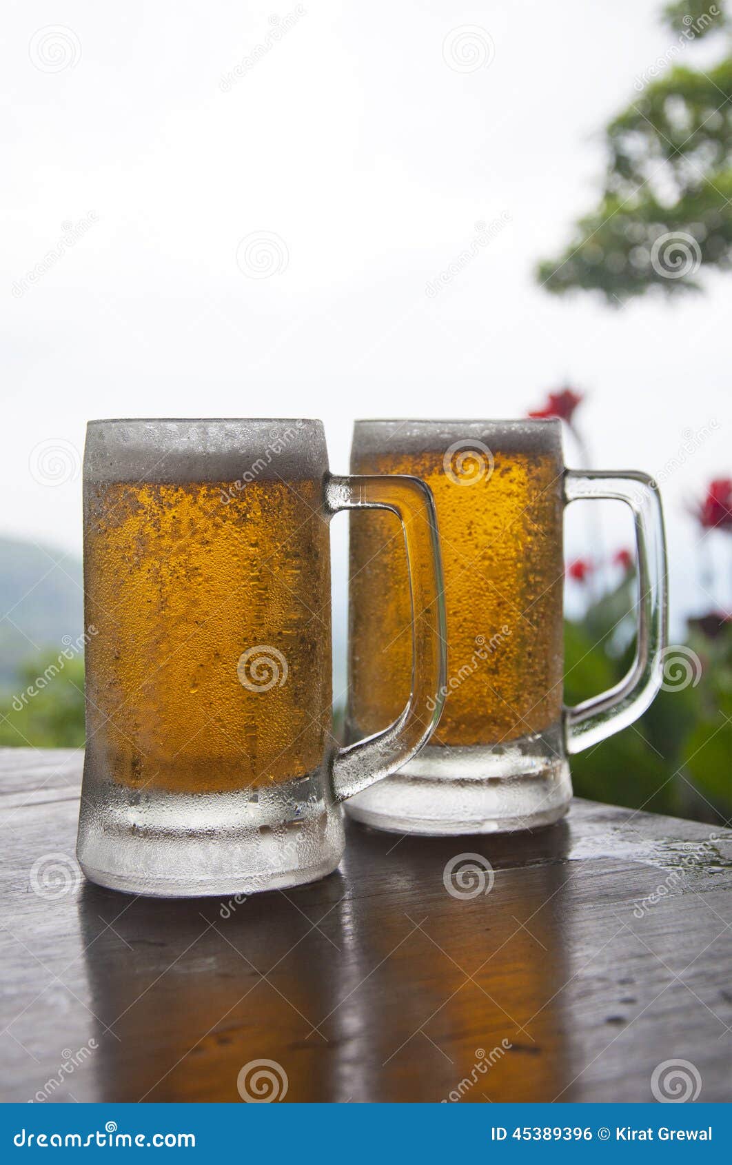 Two Mugs of Chilled Beer stock photo. Image of cold, hill 45389396