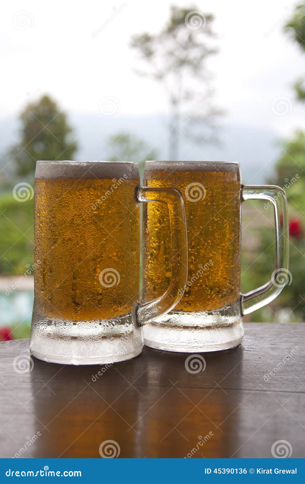 Two Mugs of Chilled Beer stock photo. Image of drink 45390136