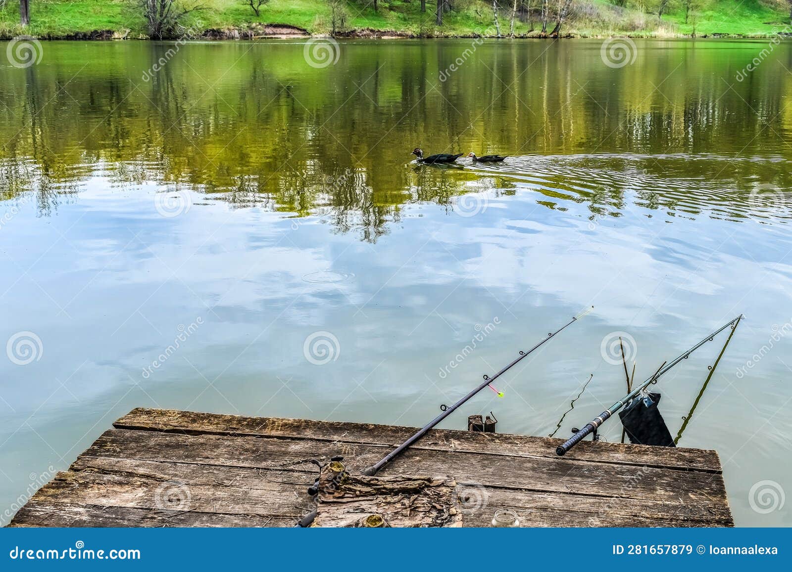 Two Muscovy Ducks Float Past a Wooden Pier with Fishing Rods on it Stock  Image - Image of lure, sumy: 281657879