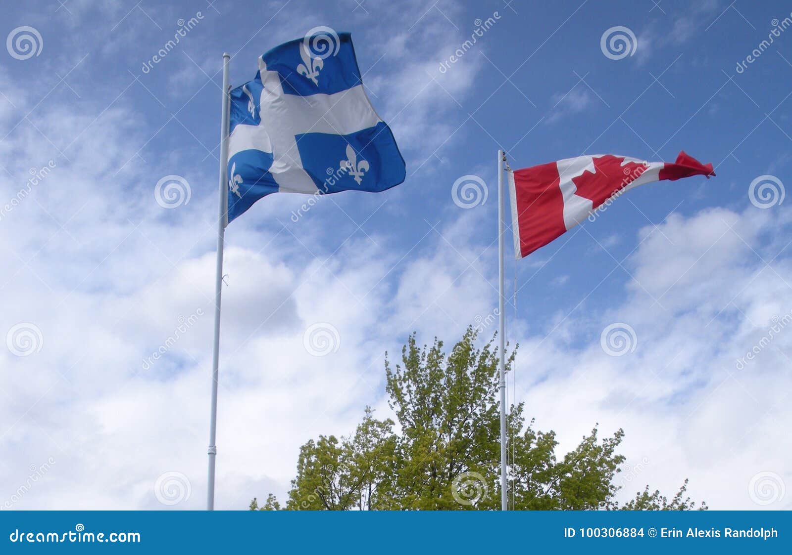 Flags of Quebec and Canada stock photo. Image of canada 100306884