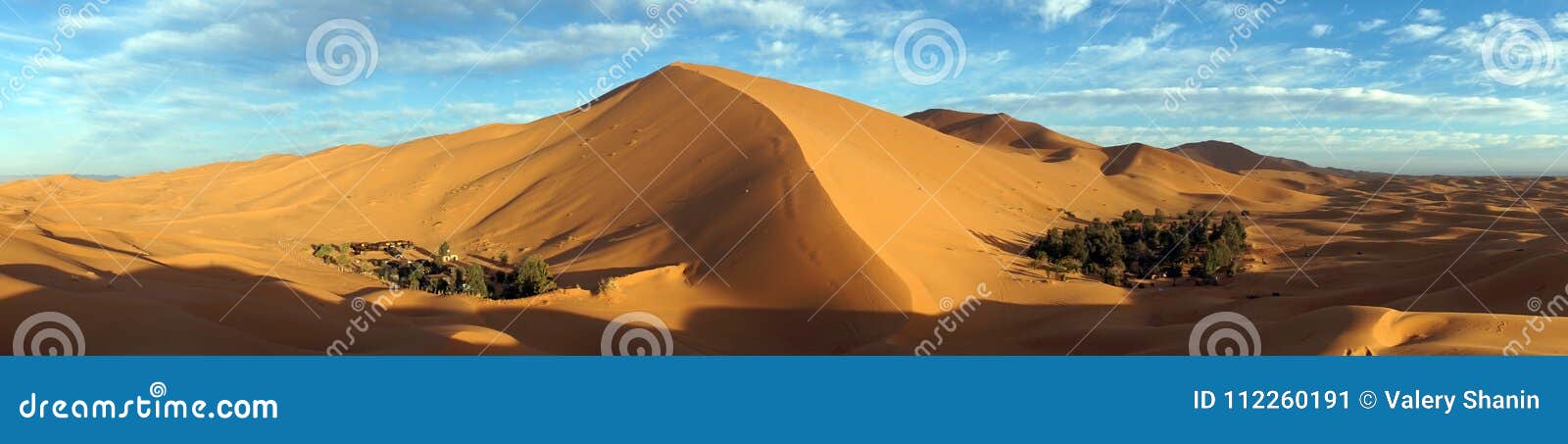 Two oasises in Sahara stock image. Image of shadow, sahara ...
