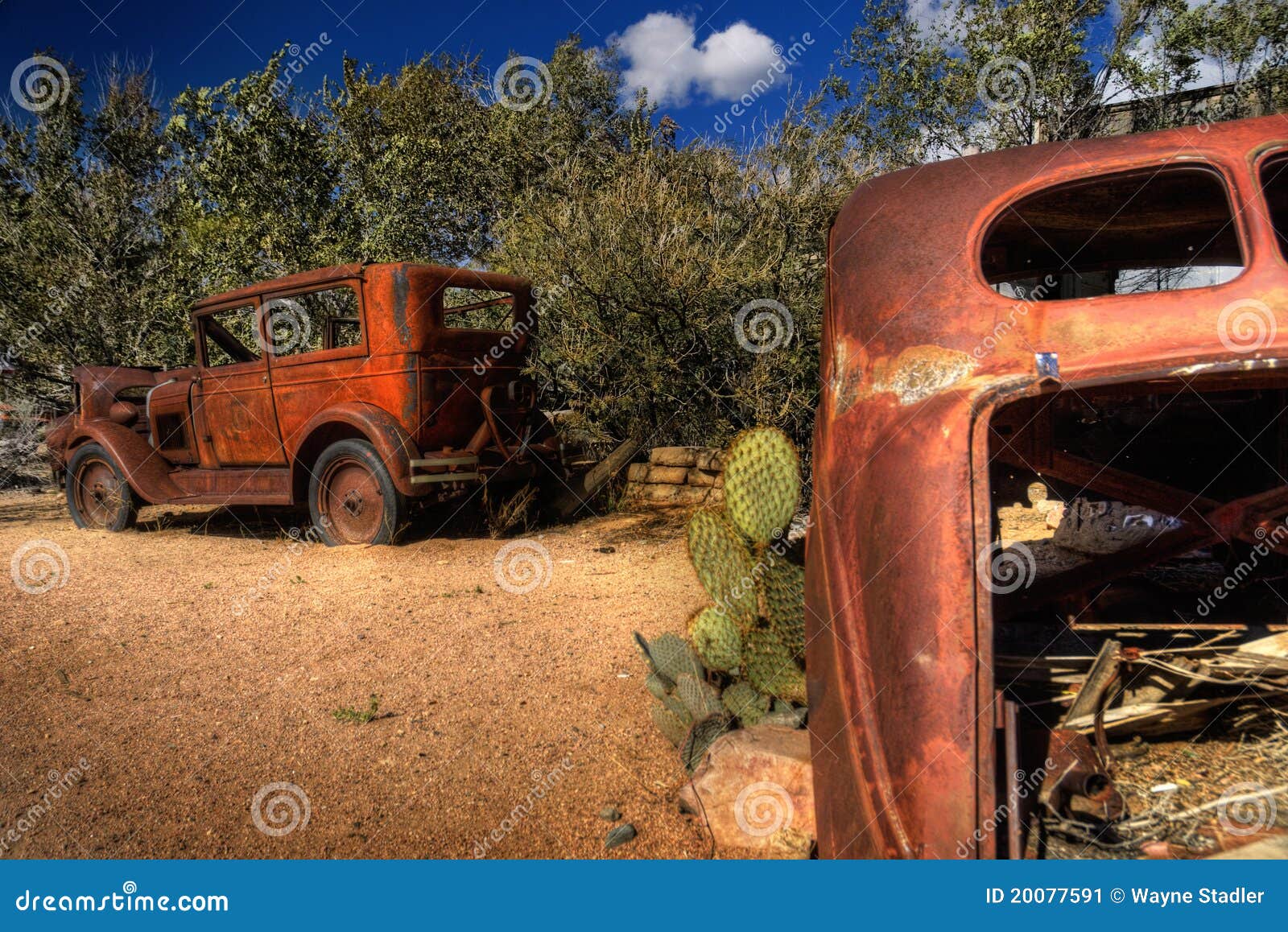 Two Old Classics Stock Image Image Of Desert Cactus 20077591