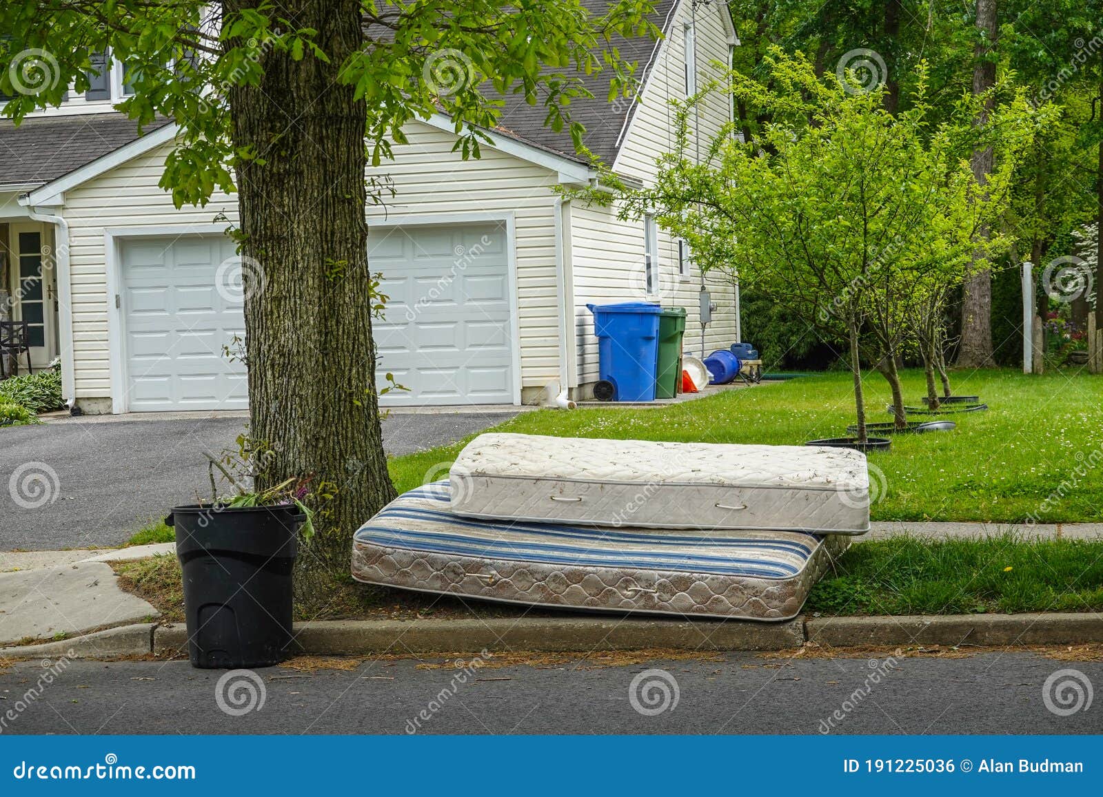 two old worn out mattresses by a tree at the curb near a trash can in front of a house