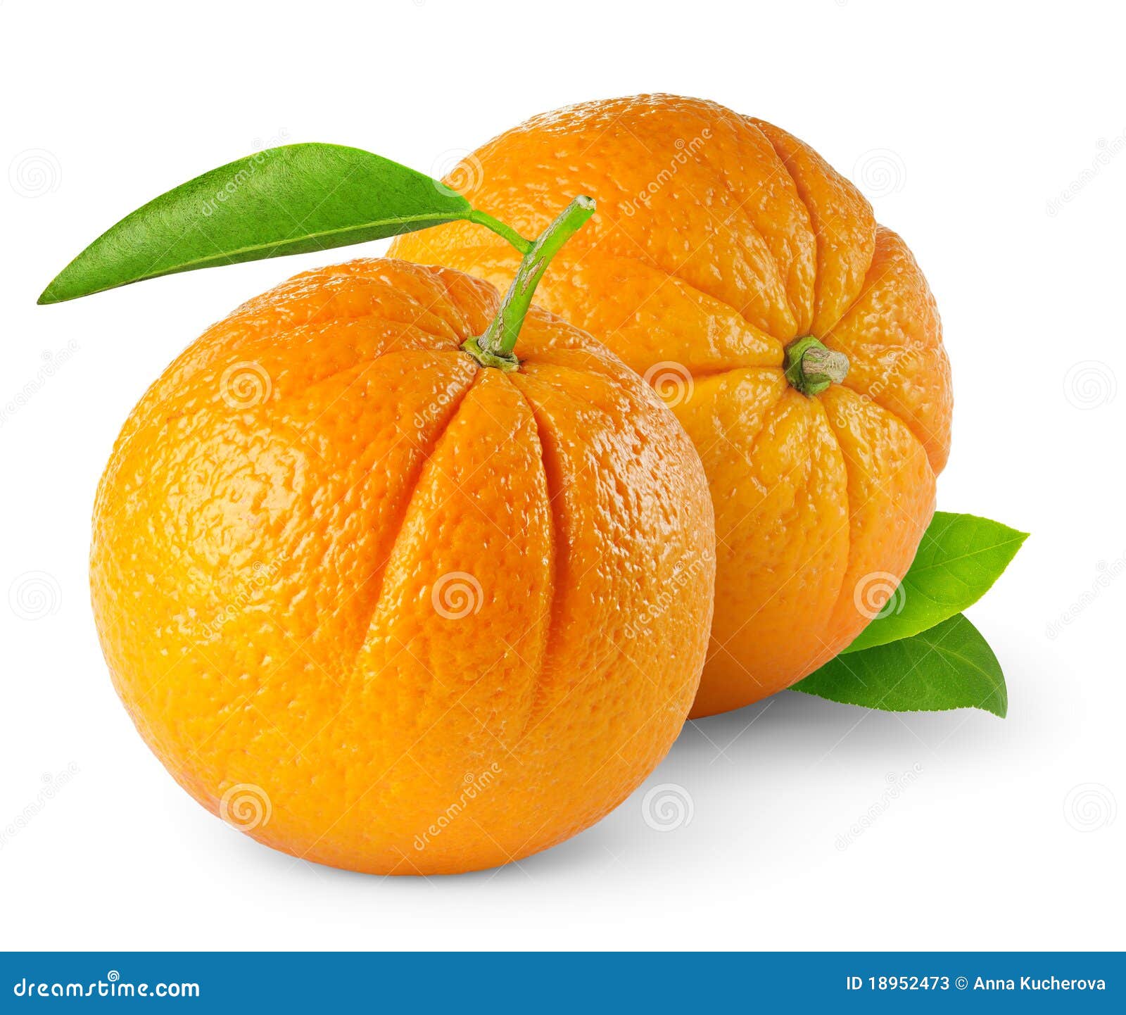 Two oranges stock image. Image of macro, horizontal, design - 18952473