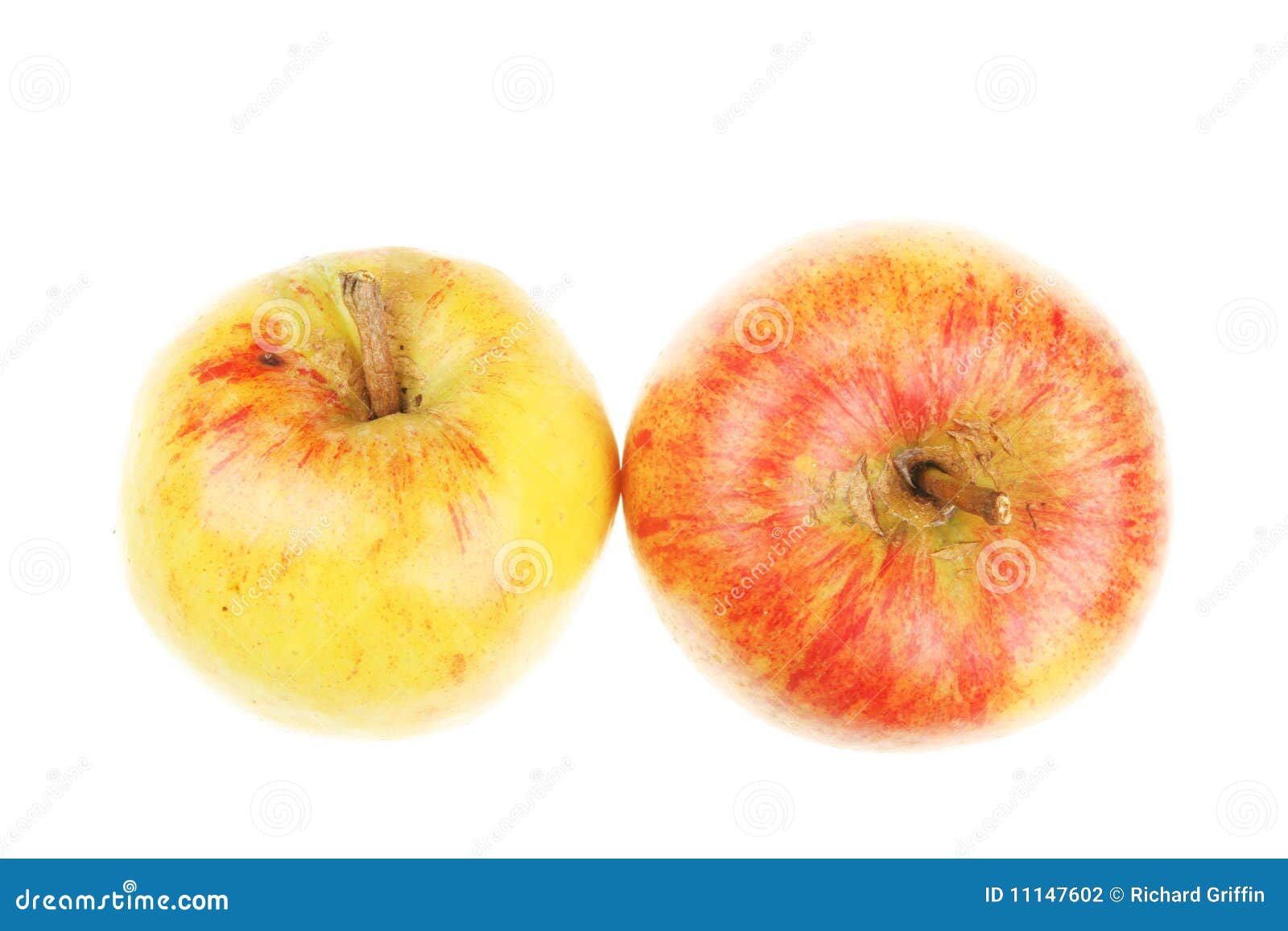 Two organic apples stock photo. Image of isolated, crop 11147602
