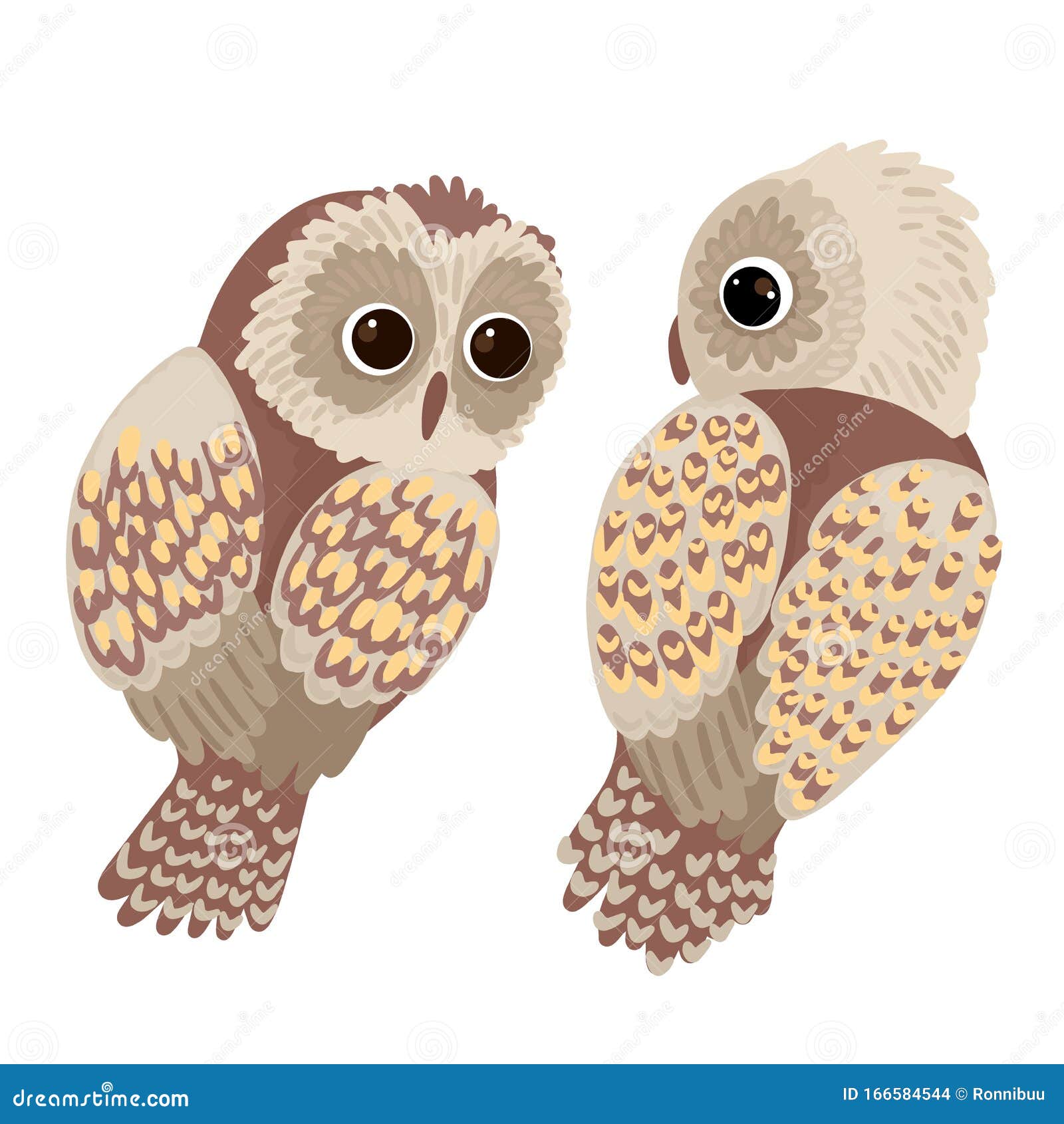 Two Owls Look at Each Other. Cute Bright Birds. Vector Characters on ...