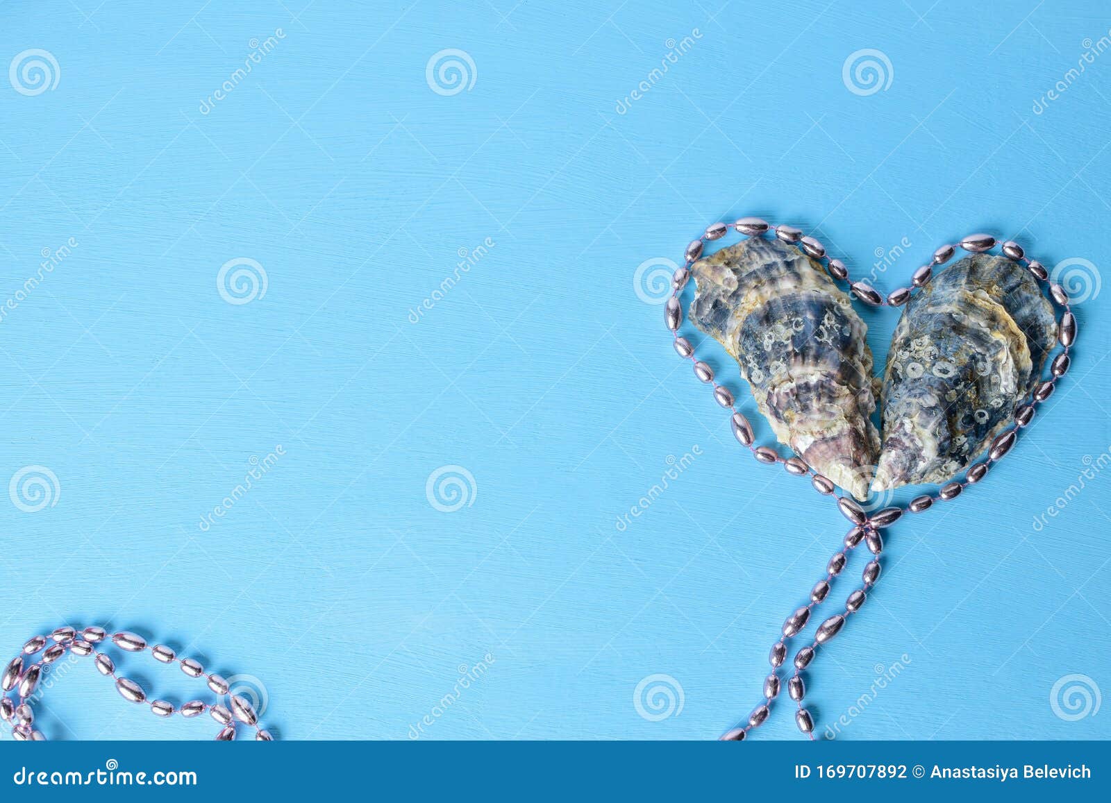 Two Oyster Shells Lie in the Shape of a Heart on a Blue Background.heart Contour Made from Pink