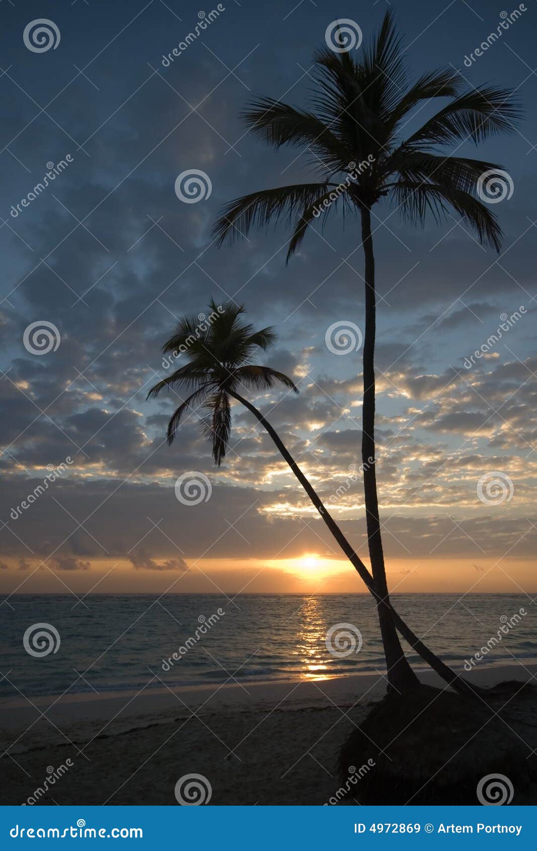 Two Palm Trees Beach Sunrise Stock Image Image Of Destination