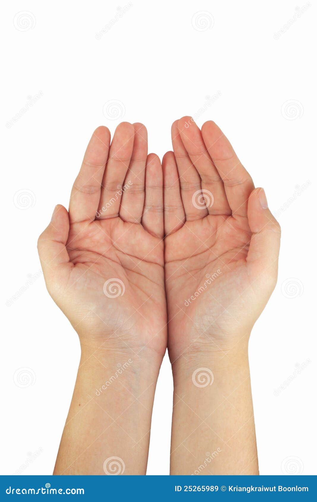 Two palms of the hand stock image. Image of palm, nature - 25265989