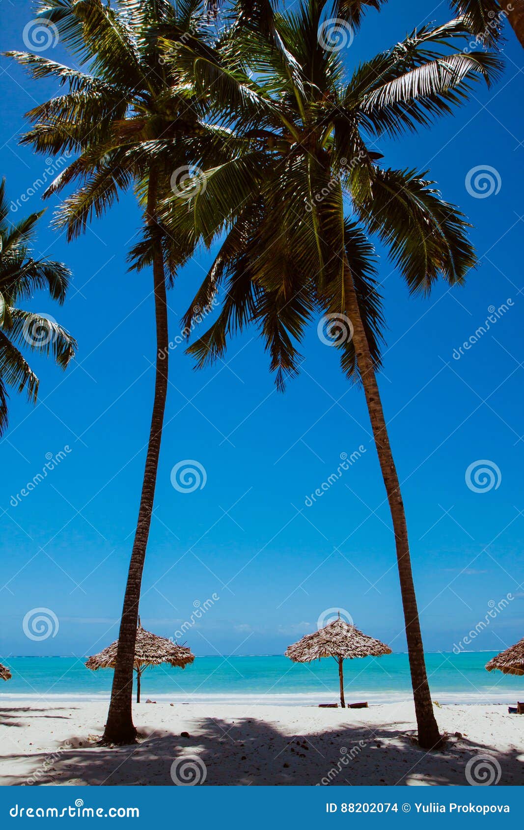 two palms on oceanic whitesand beach