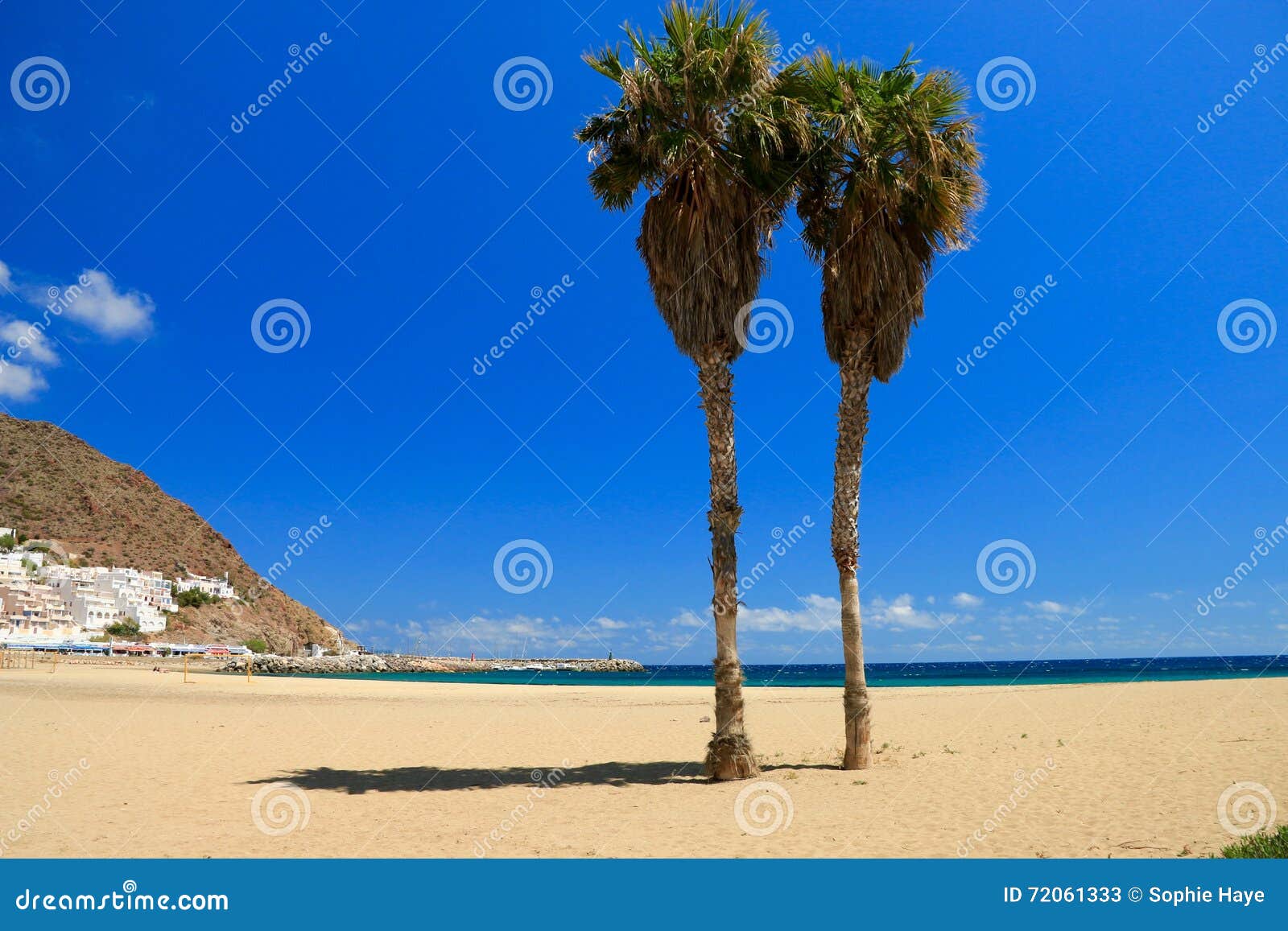 two palmtrees in the beach of san jose , spain