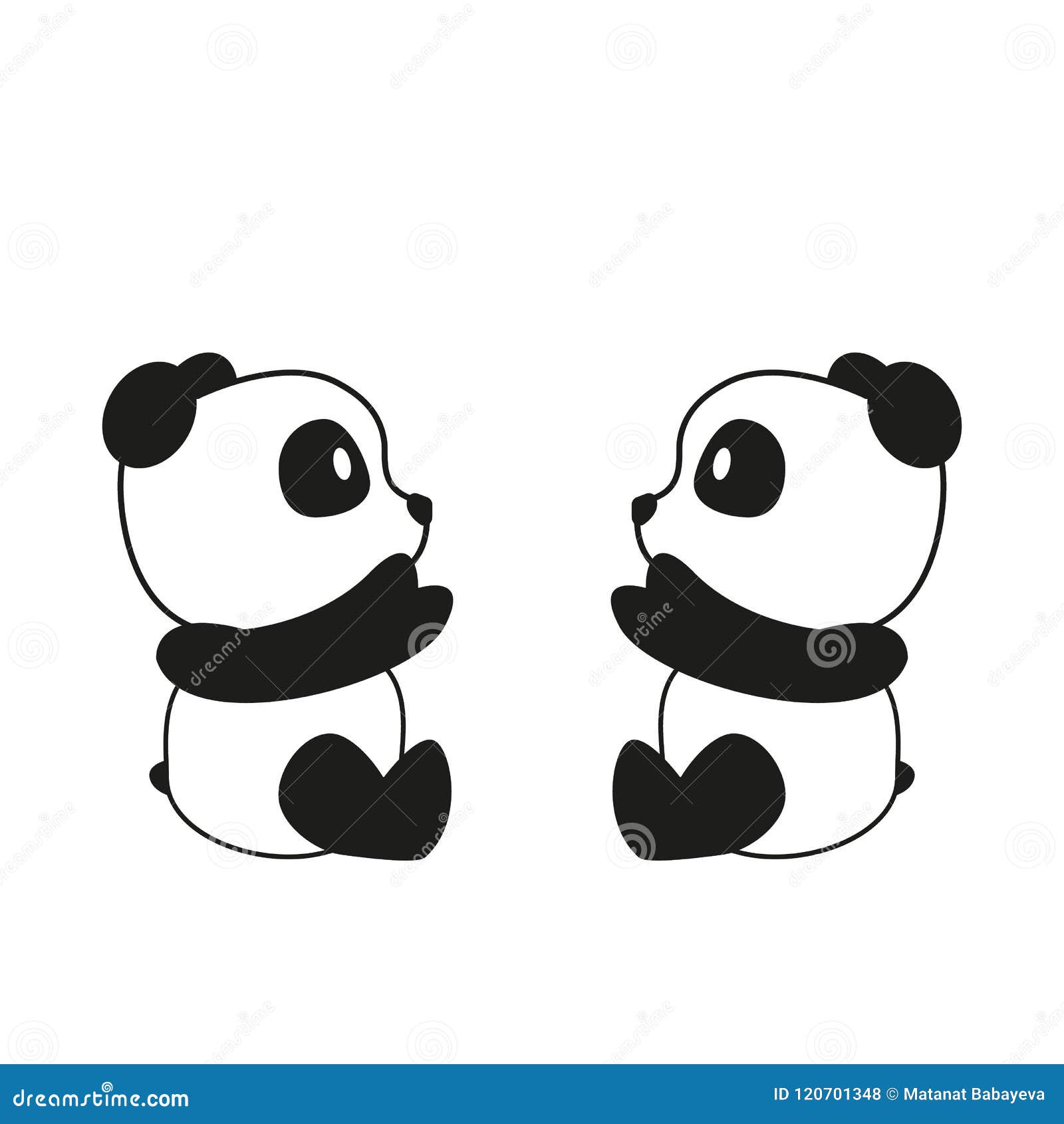 two pandas  on white background.  .