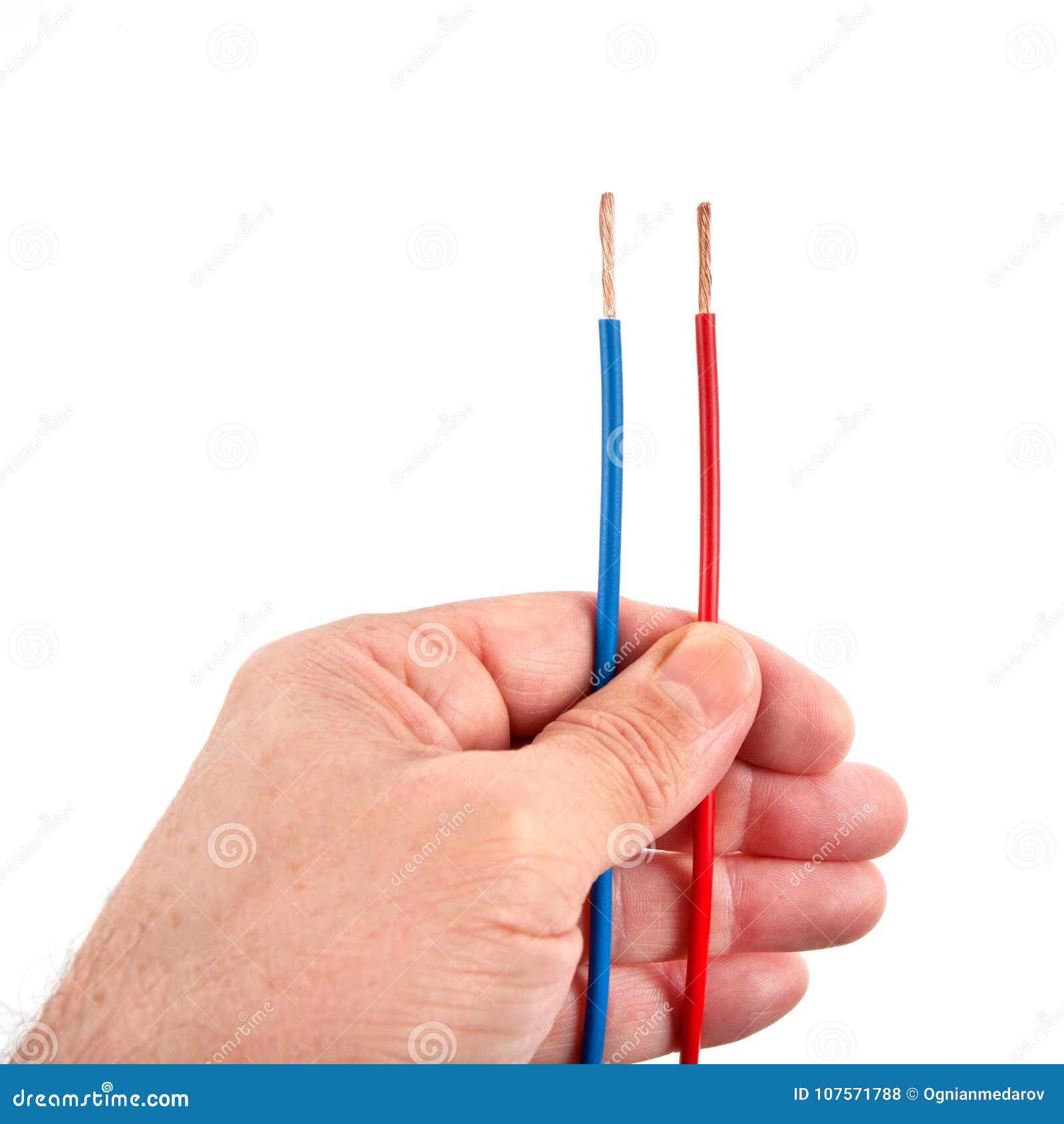 bringe handlingen Markeret nød Red and Blue Wires in a Hand Stock Photo - Image of blue, electric:  107571788
