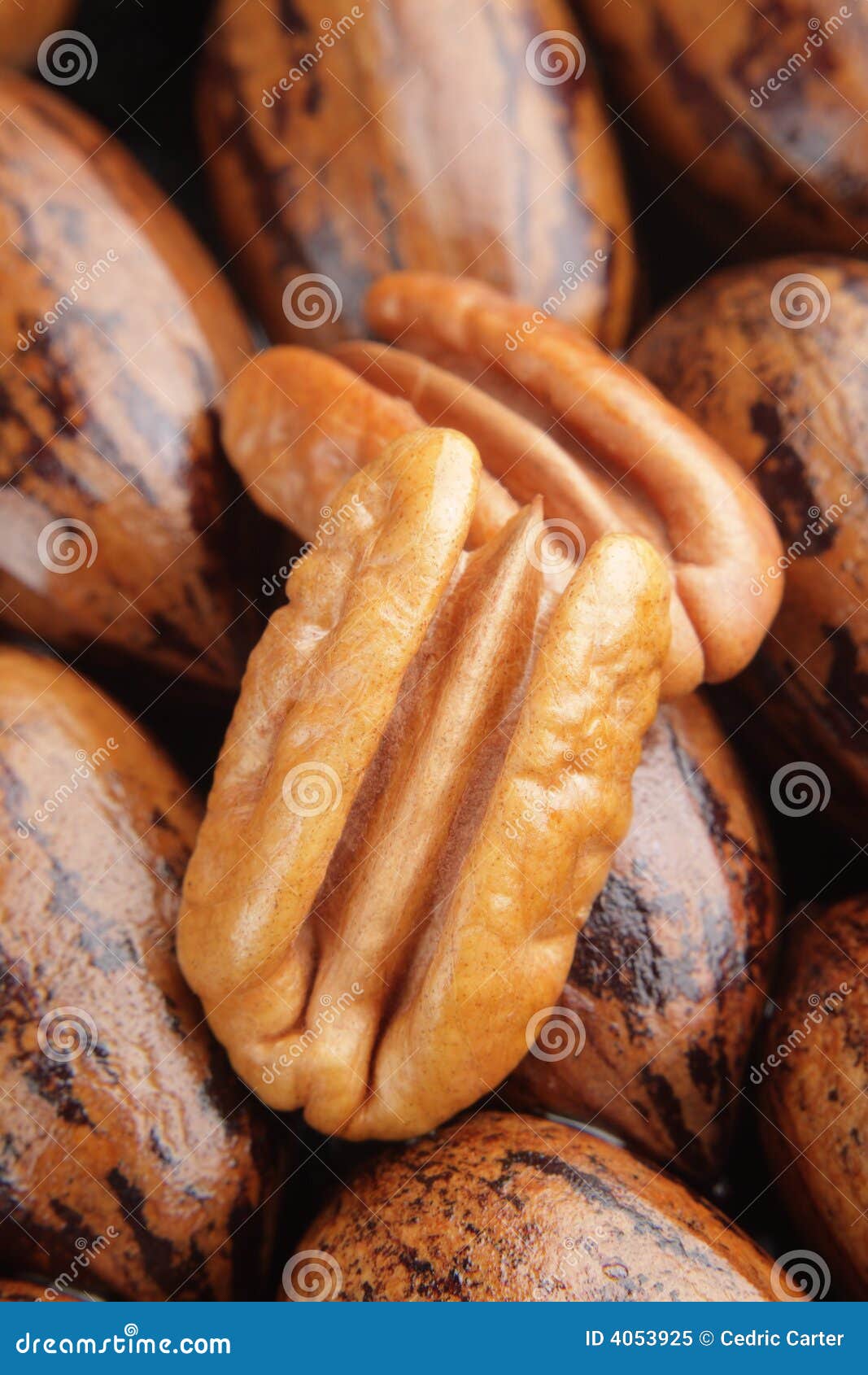 two pecan halves on background