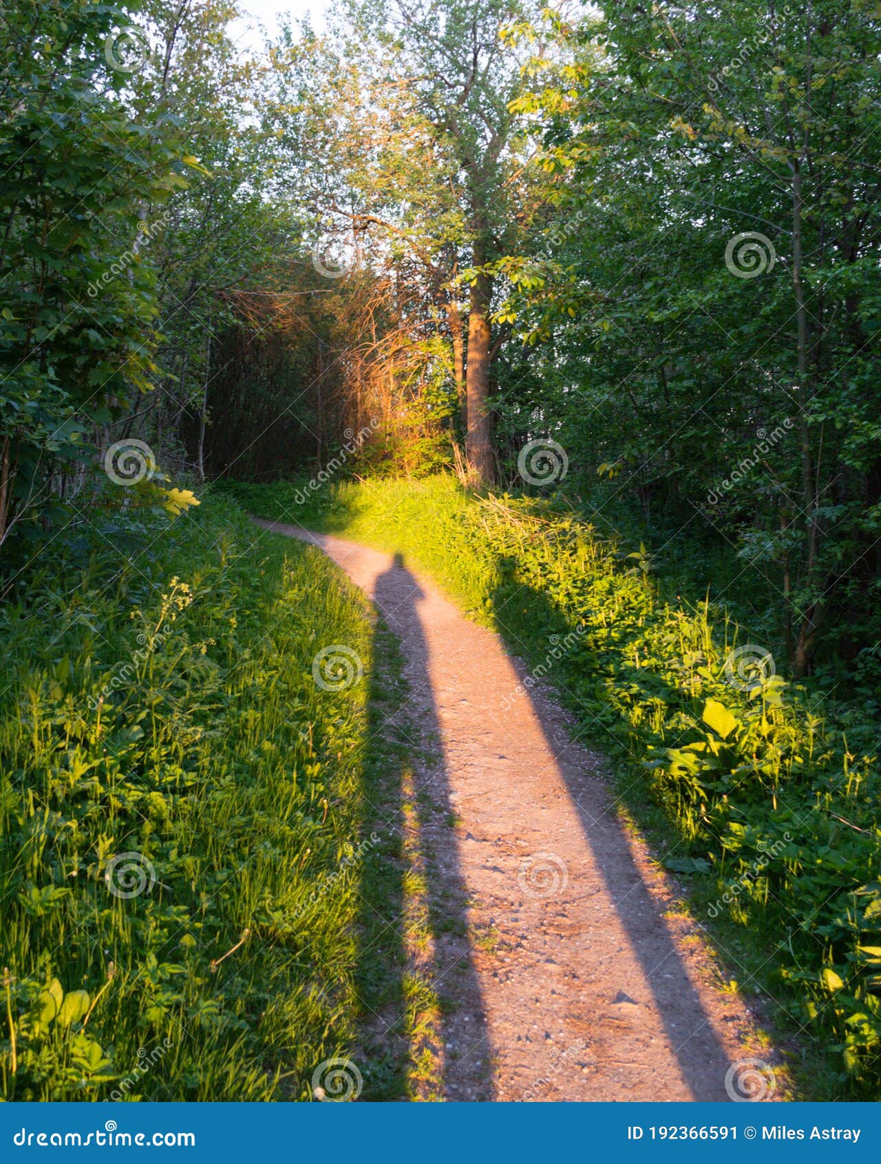 The Sun Casting Long Shadows At The Viaduct Across The River