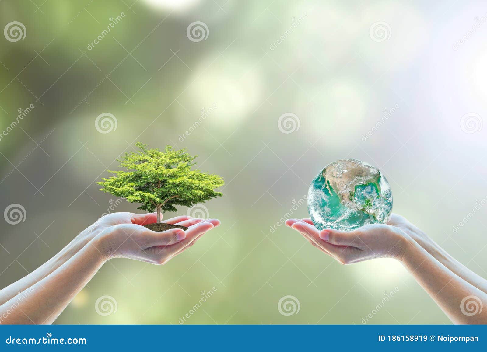two people human hands holding/ saving growing big tree on soil eco bio globe in clean csr esg natural sunlight background