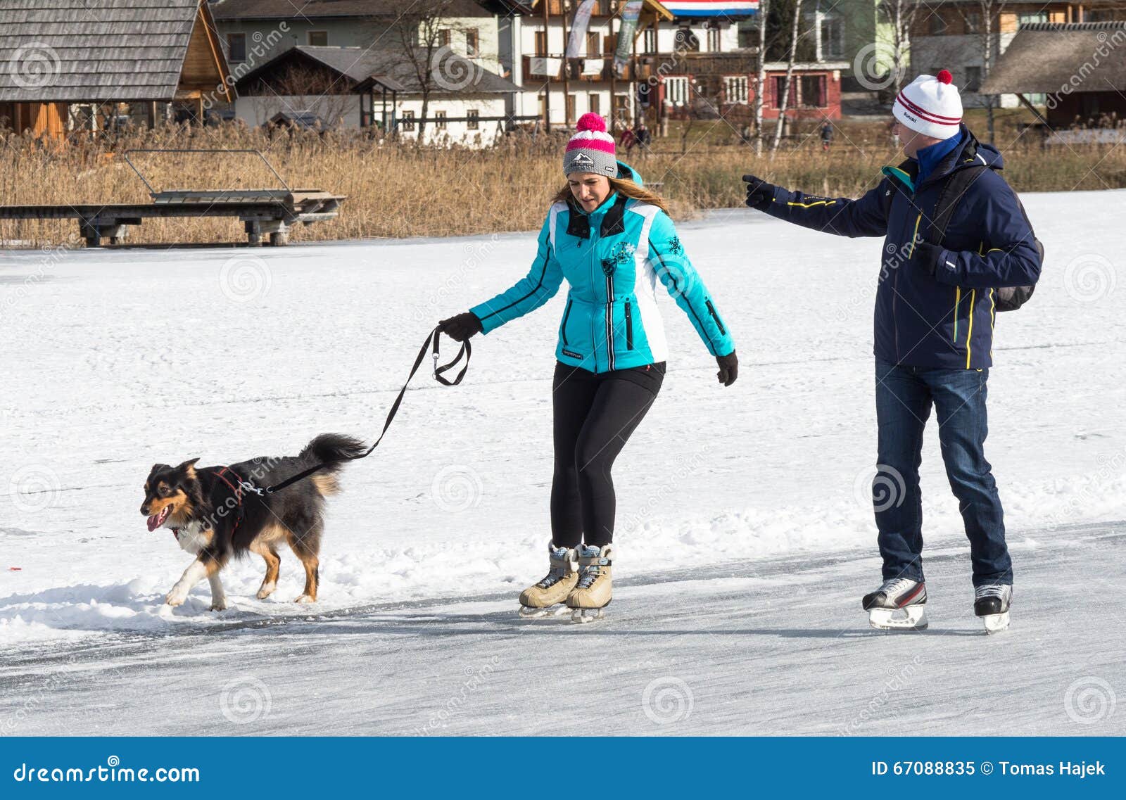Two People Skating with Dog Editorial Image Image of house, klosters