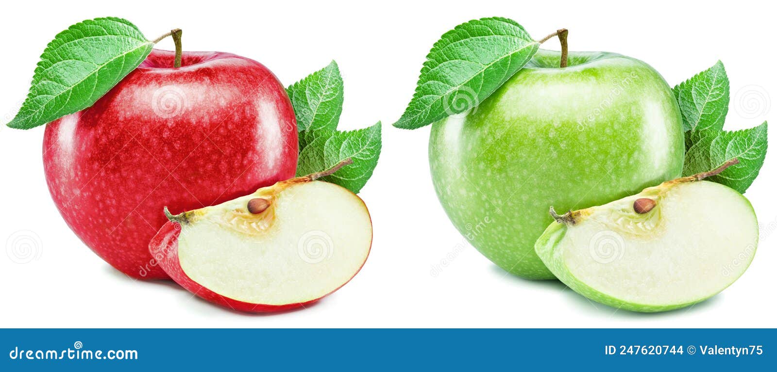Two Perfect Same Green and Red Apples Fruit, Slices and Apple Leaves Isolated on White