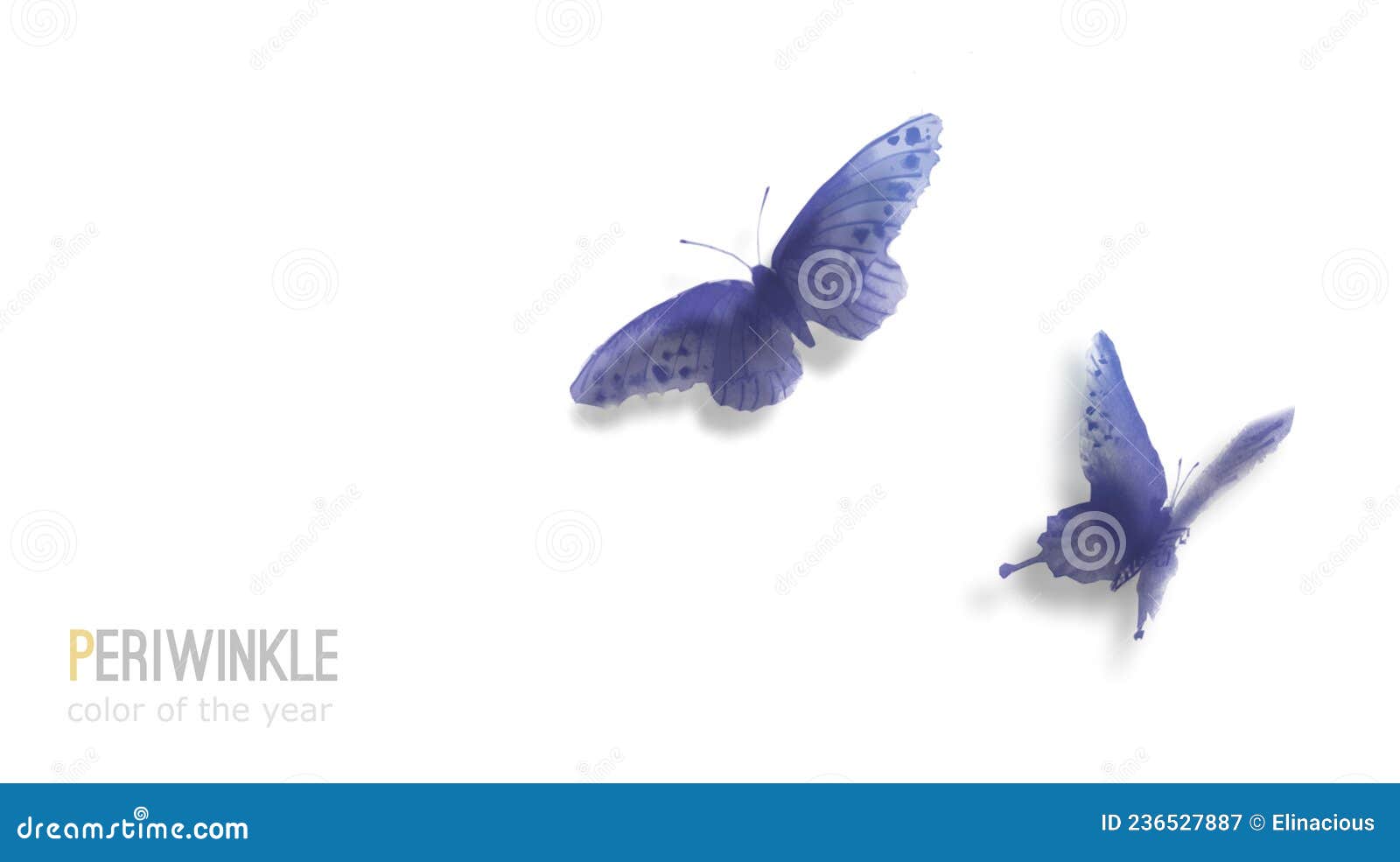 Two Periwinkle Butterflies on White Background. Color of the Year 2022
